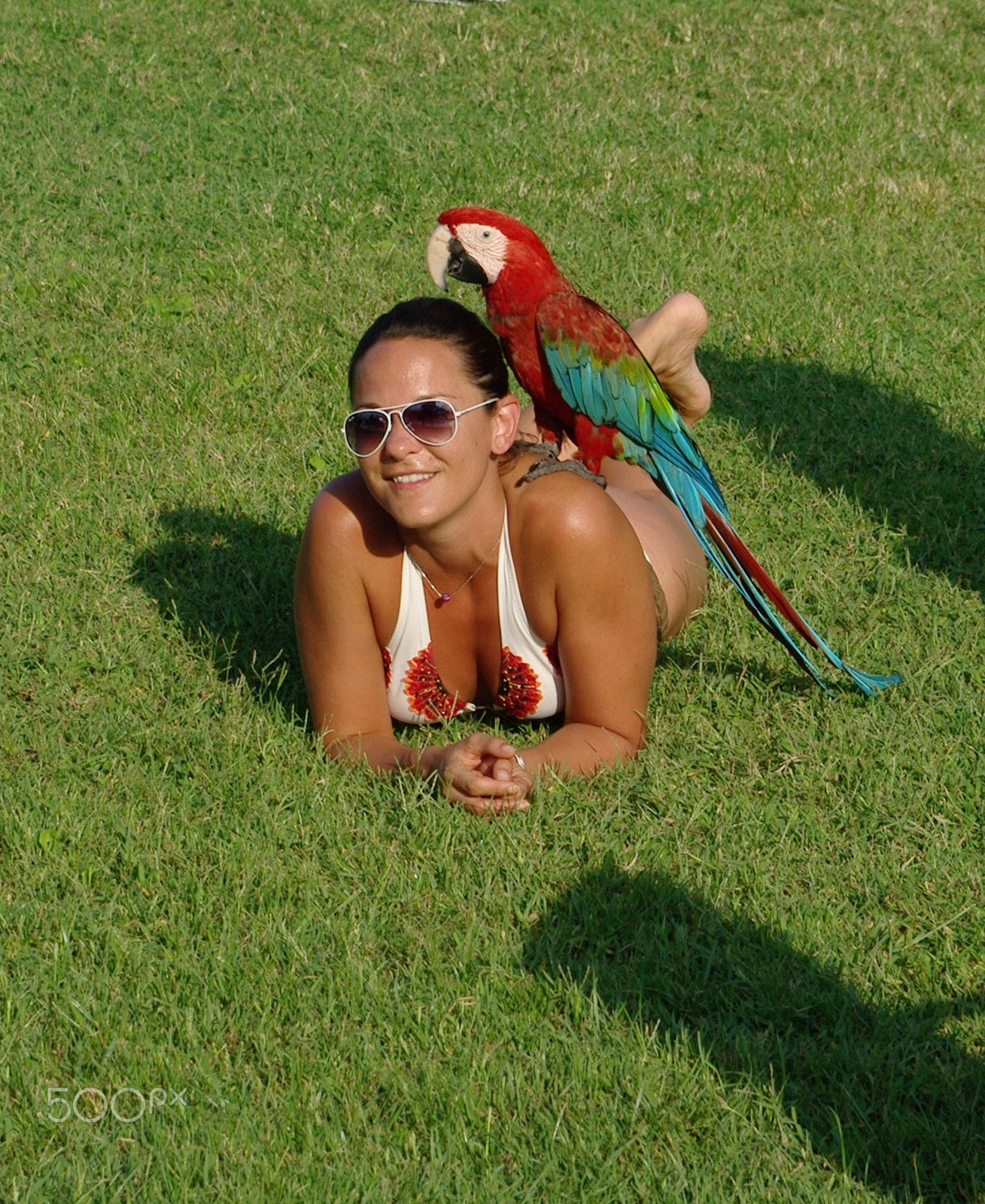 Samsung/Schneider D-XENON 18-55mm F3.5-5.6 II sample photo. Woman with parrot... photography