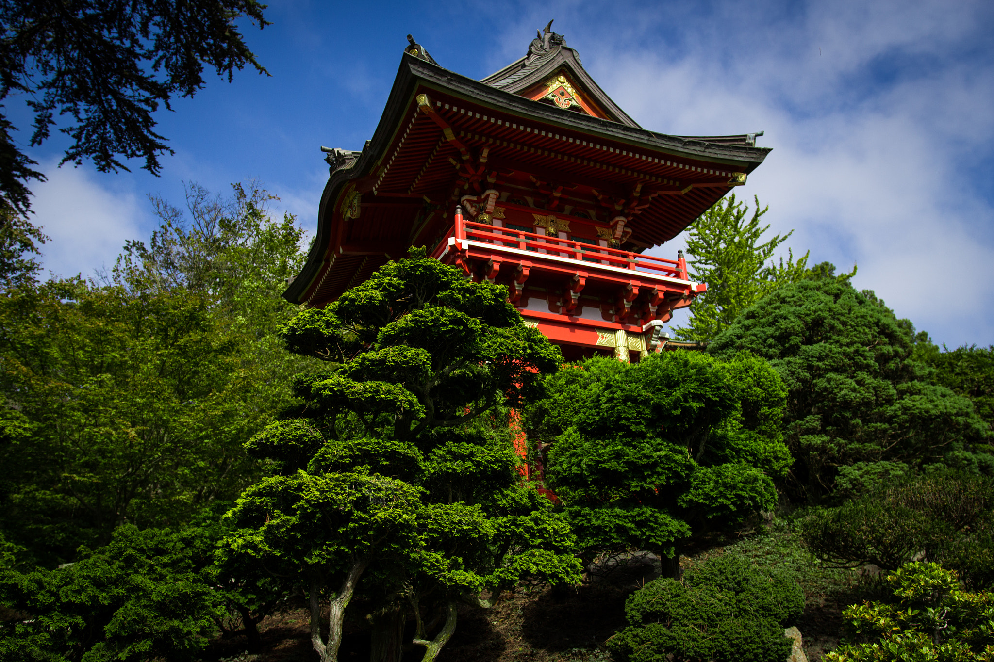 Sigma 18-35mm f/1.8 DC HSM sample photo. Japanese tea garden, san francisco photography