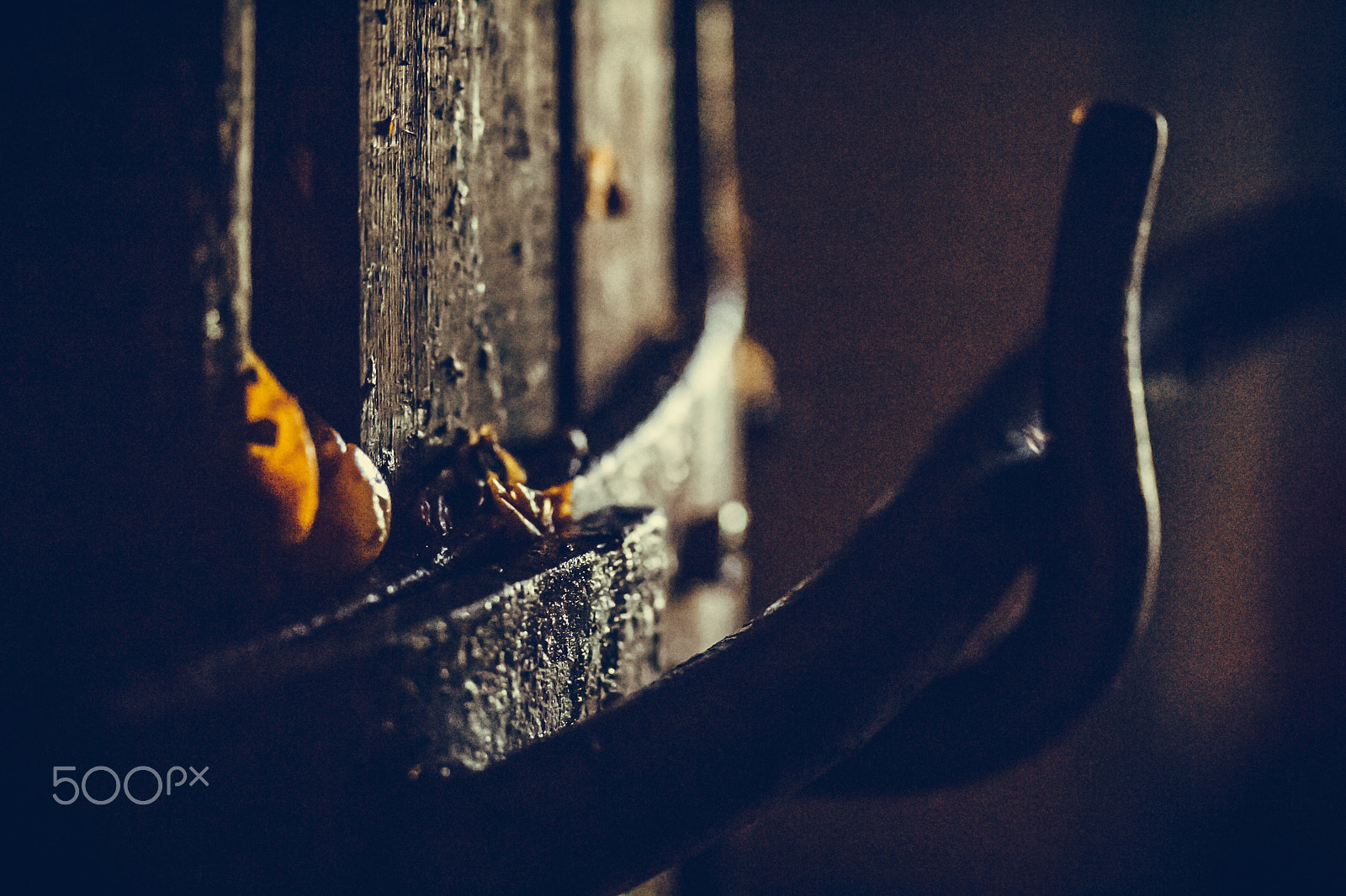 Canon EF-S 60mm F2.8 Macro USM sample photo. Torchio photography