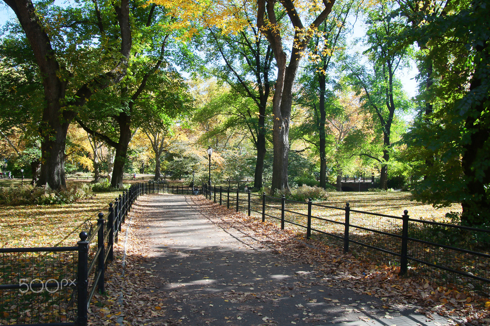 Canon EOS 750D (EOS Rebel T6i / EOS Kiss X8i) + Sigma 18-50mm f/2.8 Macro sample photo. Central park photography