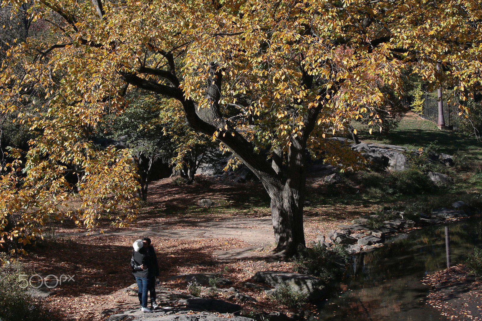 Canon EOS 750D (EOS Rebel T6i / EOS Kiss X8i) + Sigma 18-50mm f/2.8 Macro sample photo. Lover photography