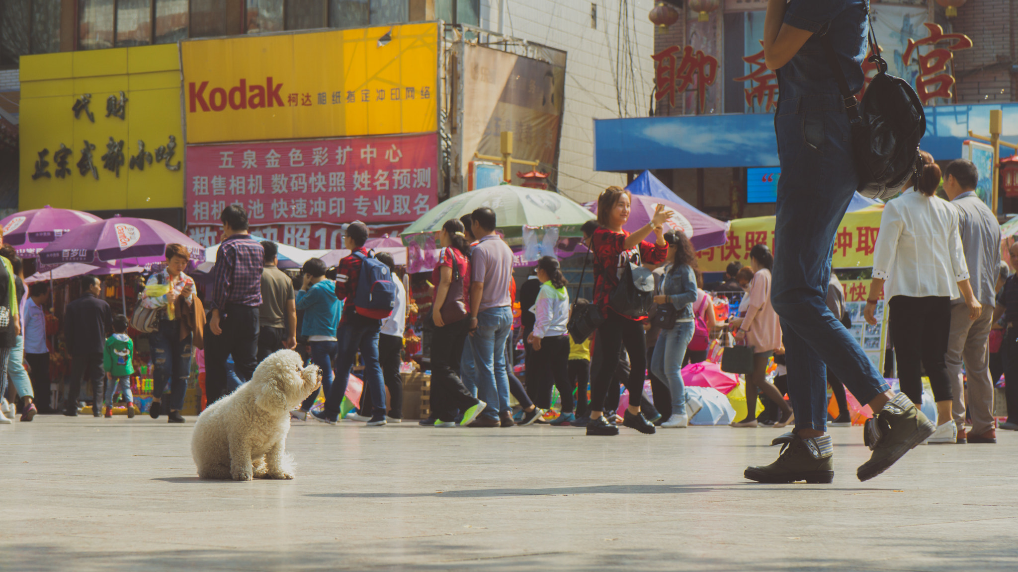 Sony a6000 + Sony FE 28-70mm F3.5-5.6 OSS sample photo. 遇见 photography