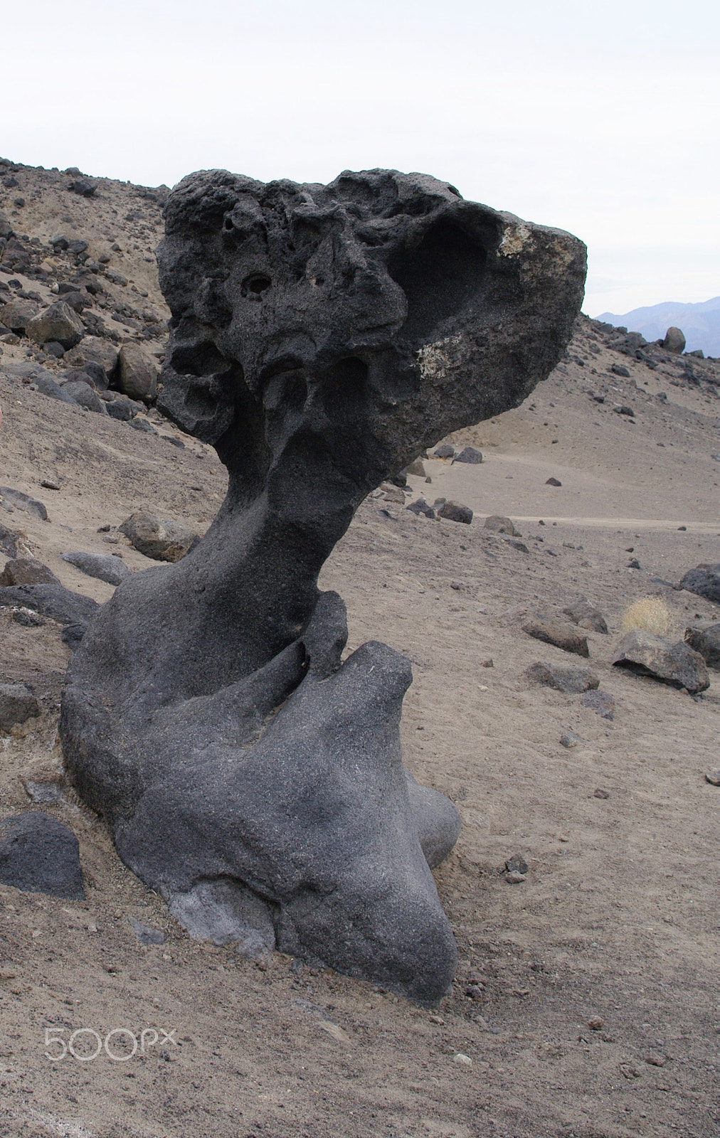 Samsung GX-20 sample photo. Stone tree... photography