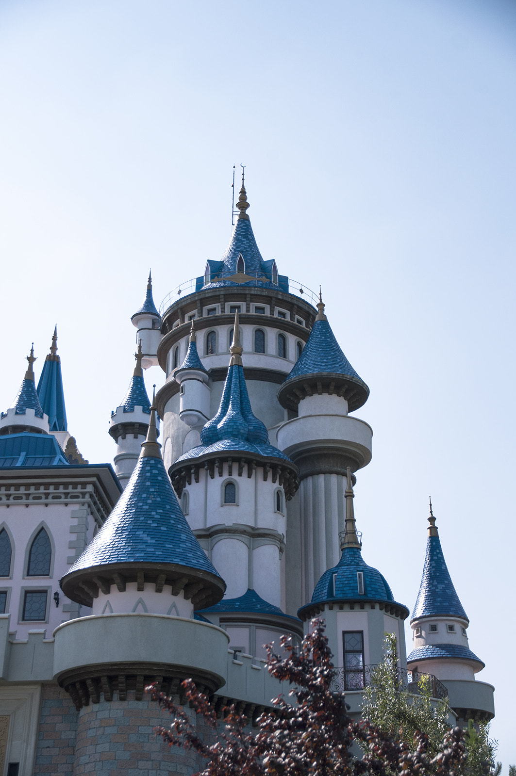 Sigma 17-70mm F2.8-4 DC Macro OS HSM | C sample photo. Blue castle photography