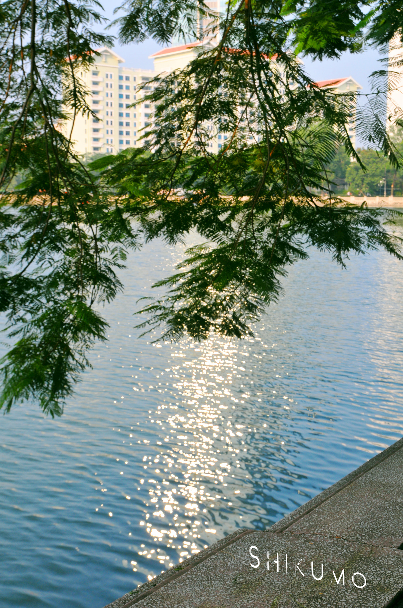 Nikon D300S sample photo. Thu le lake photography