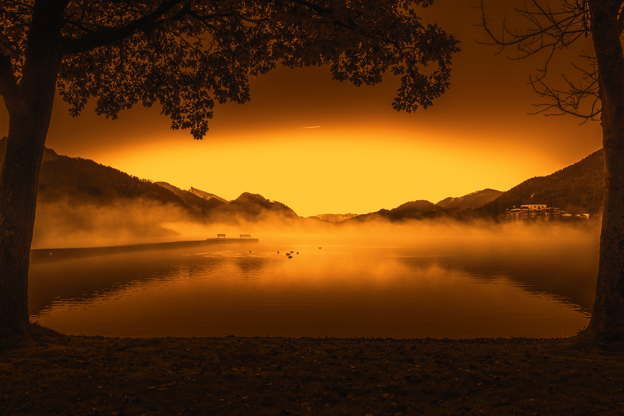 Nikon D800 sample photo. Morning fog on lake fuschl photography