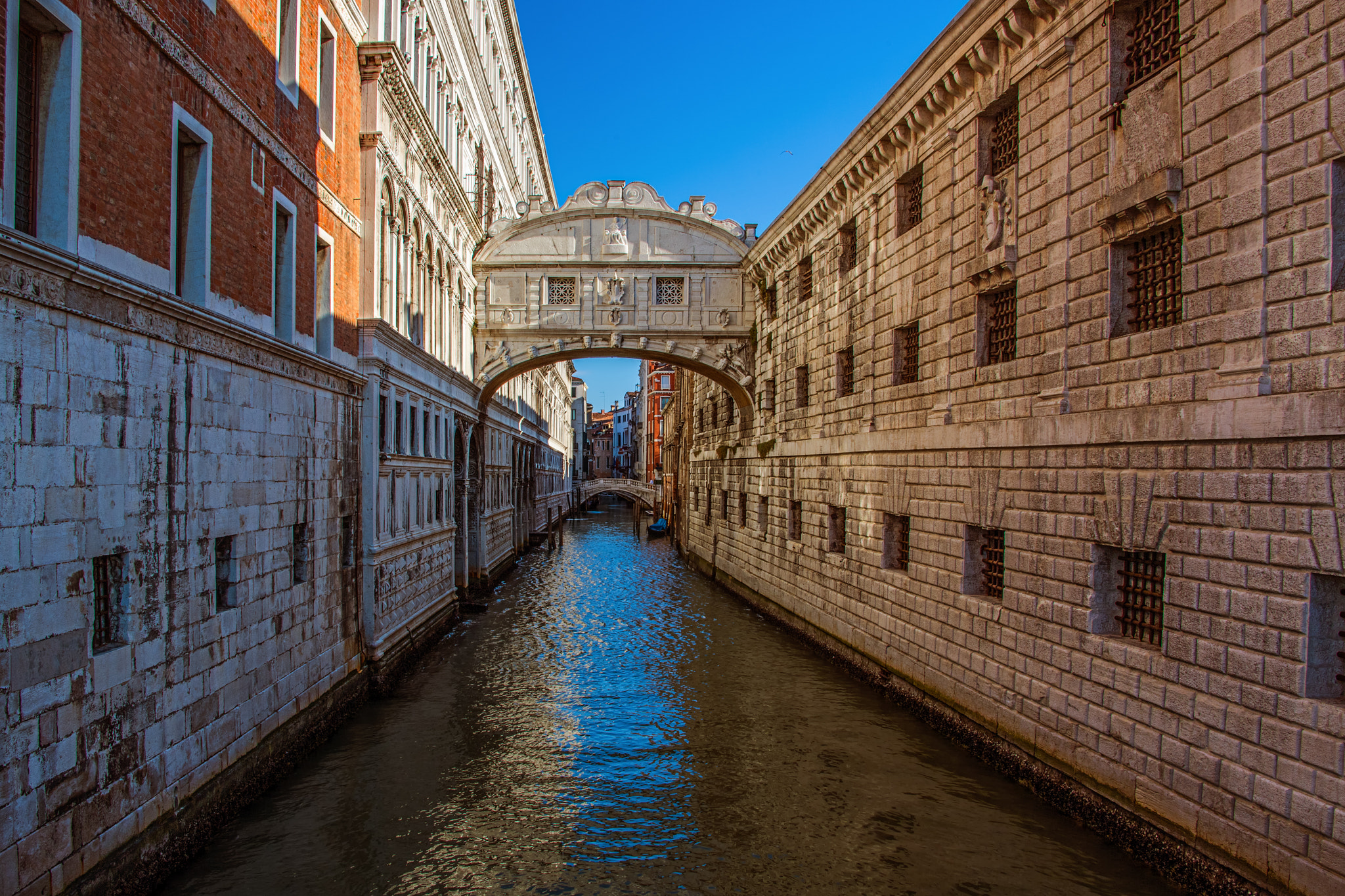 Nikon D5 sample photo. Venice italy photography