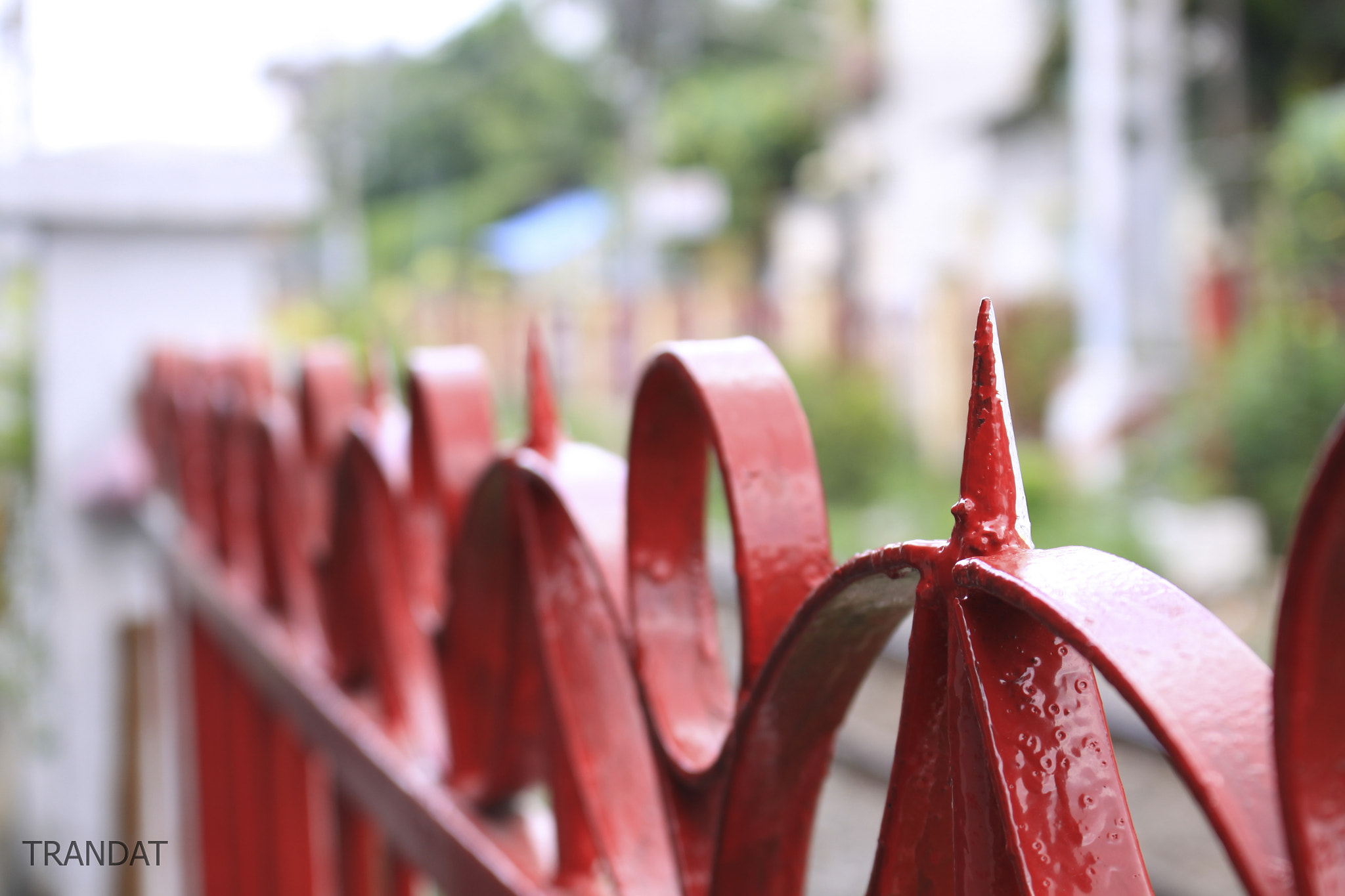 Canon EOS 50D sample photo. Img photography