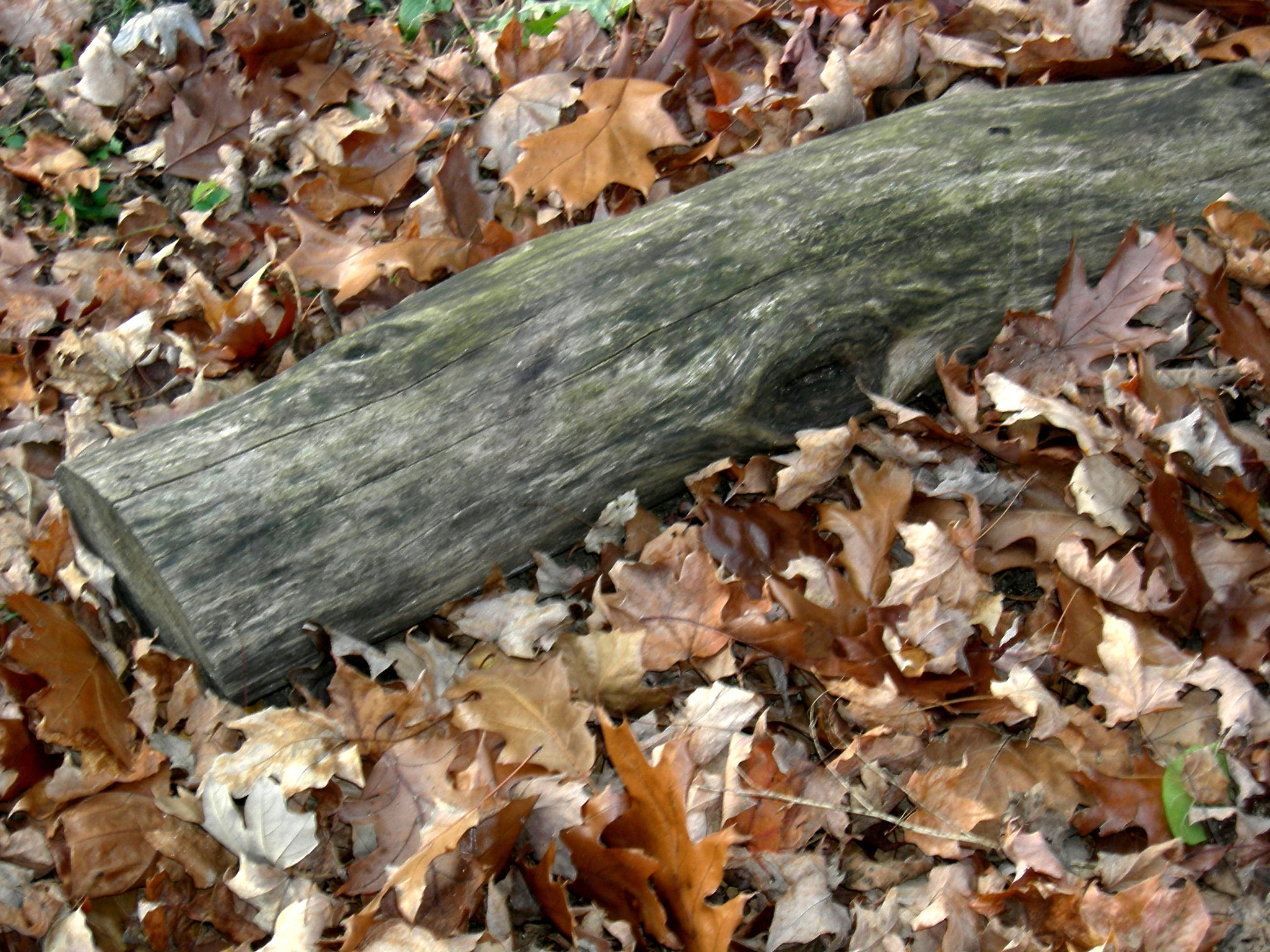 Nikon COOLPIX P2 sample photo. 2073899795.jpg photography
