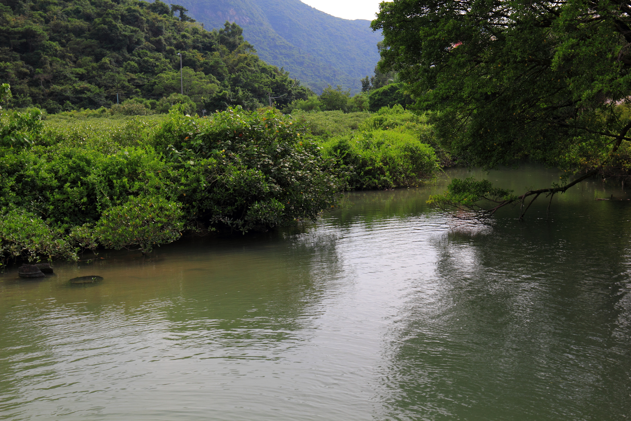 Canon EF 16-35mm F4L IS USM sample photo. Img photography