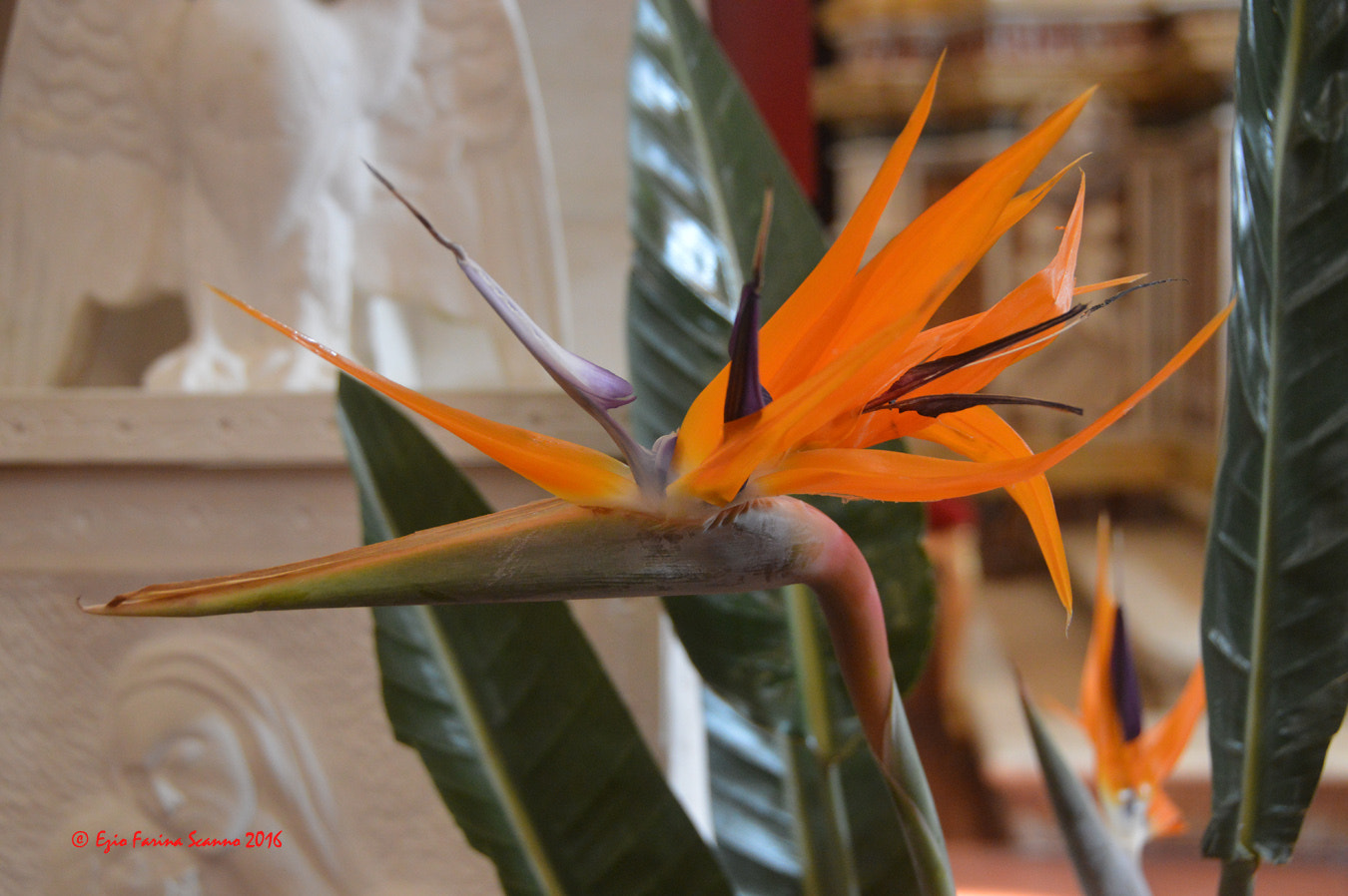 Nikon AF-S Nikkor 24-70mm F2.8G ED sample photo. () photography