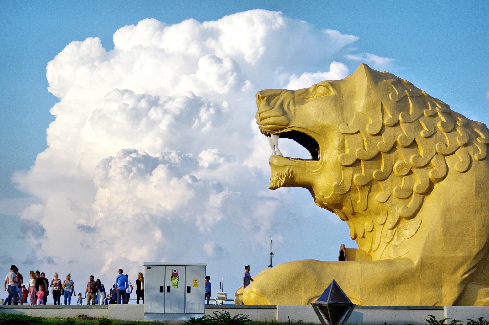 Pentax K-7 sample photo. In front of the lion photography