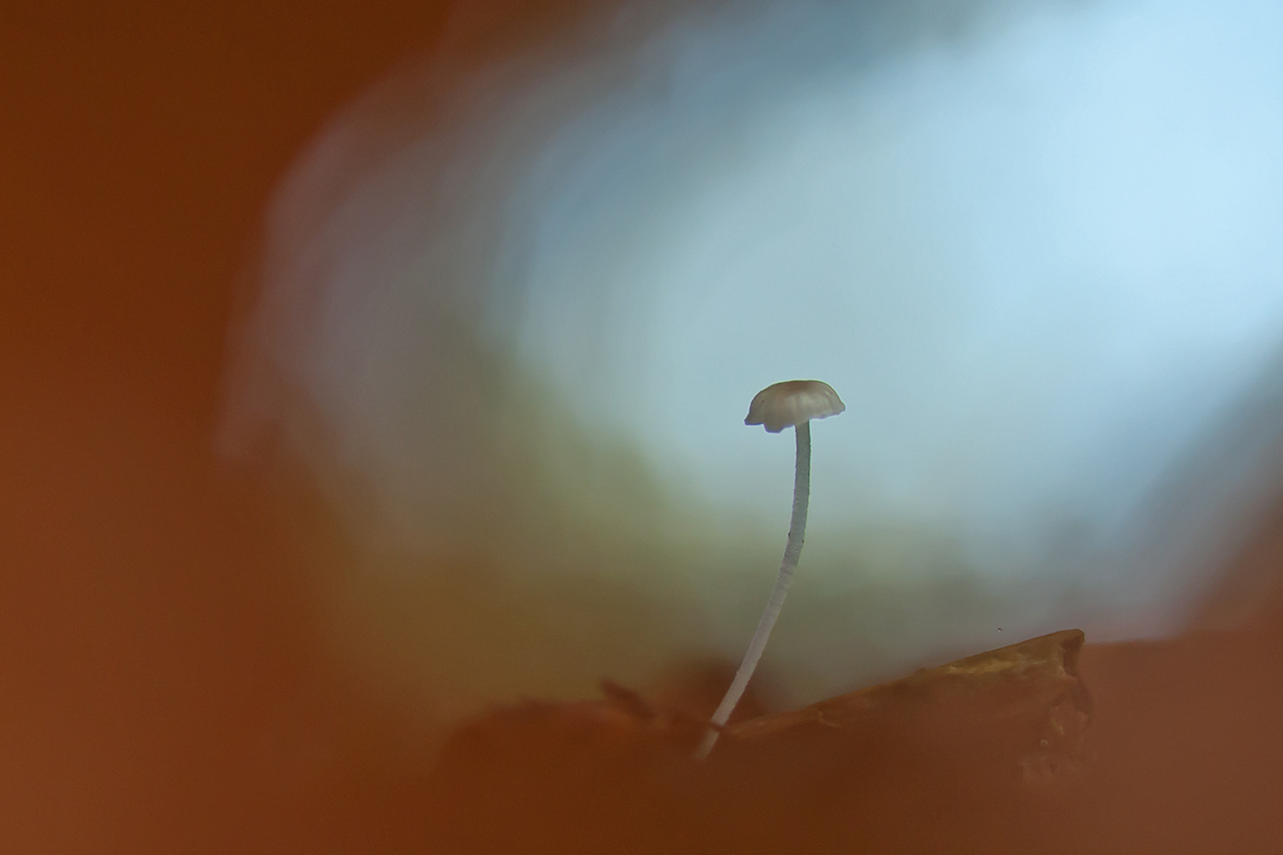 Nikon D300S sample photo. Tunnel vision photography
