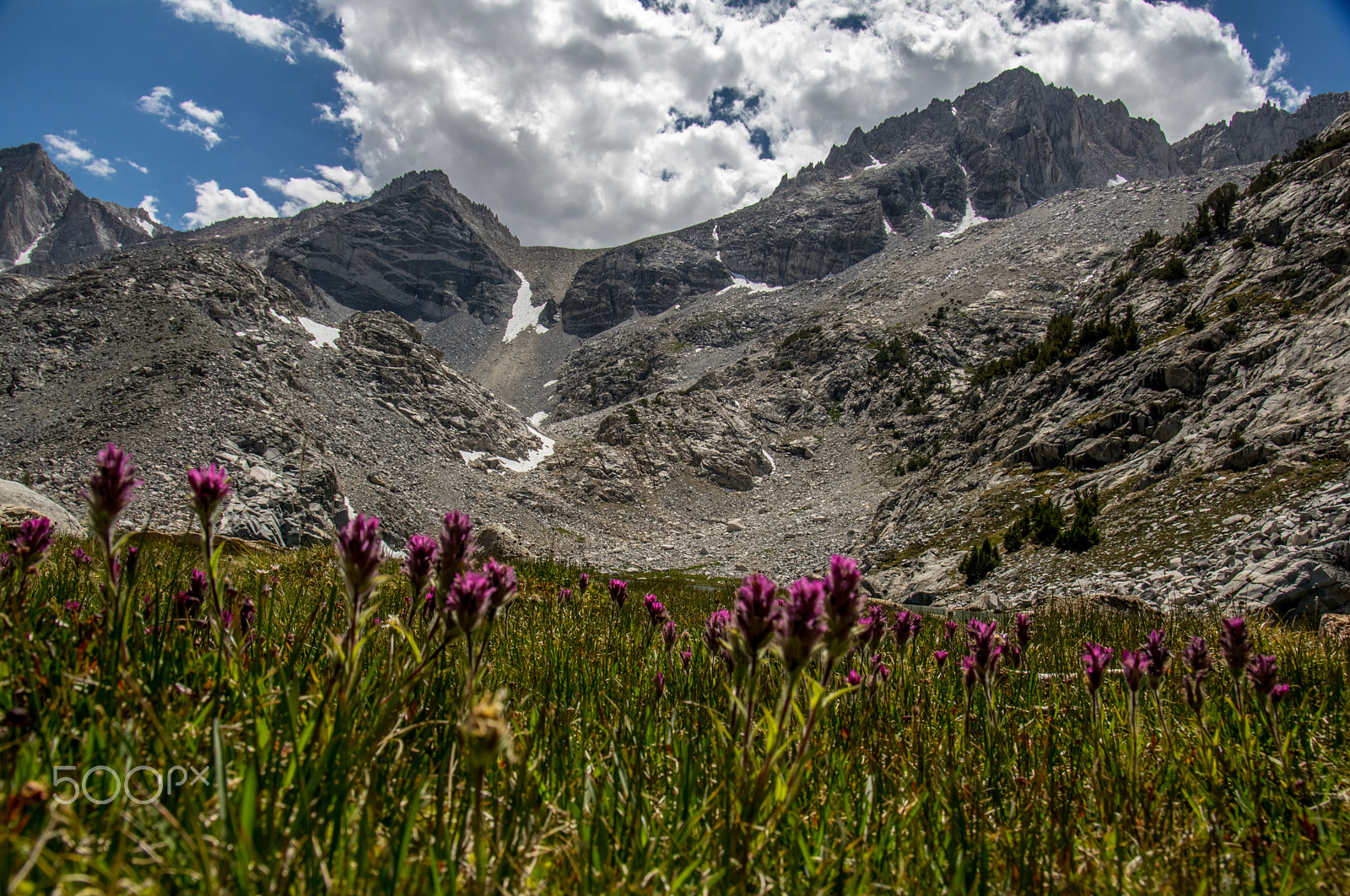 Pentax smc DA 17-70mm F4.0 AL (IF) SDM sample photo. Treasure lake meadow photography