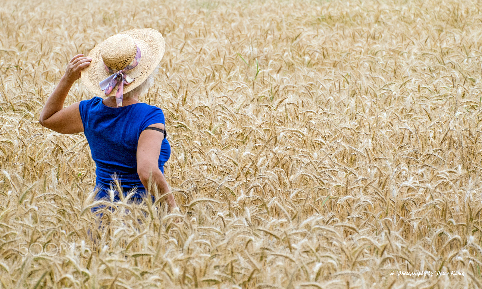 Fujifilm X-M1 + Fujifilm XC 50-230mm F4.5-6.7 OIS sample photo. Woman in cornfield photography