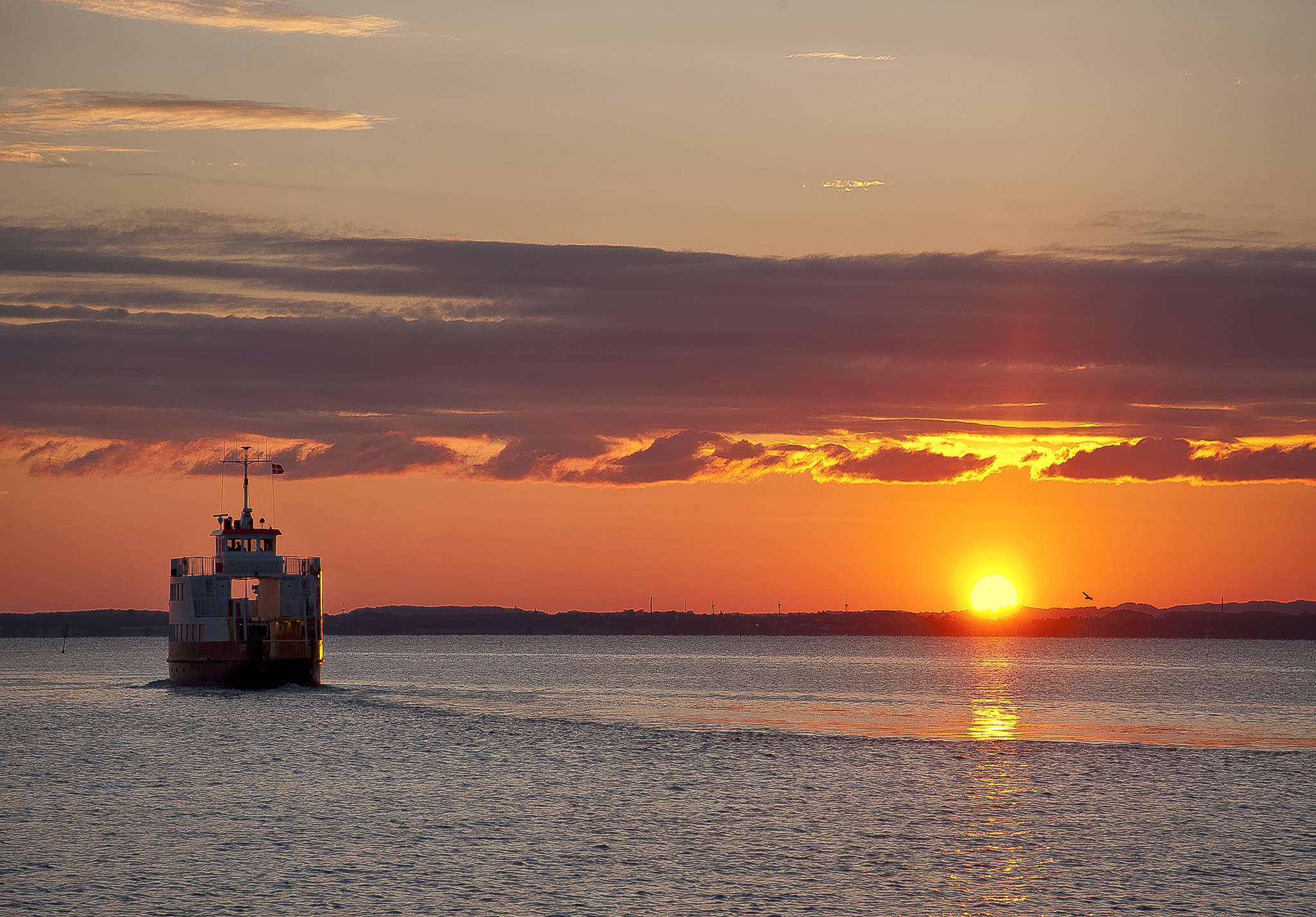 Nikon D3 sample photo. Morning has broken photography