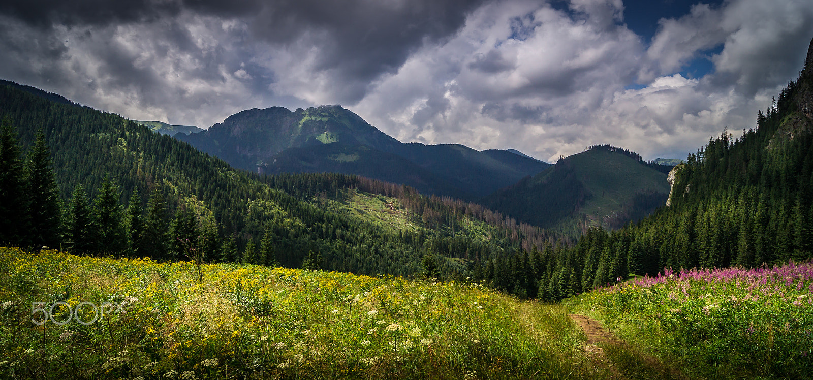 Sony Alpha DSLR-A550 + Sony DT 18-55mm F3.5-5.6 SAM sample photo. Somewhere in the tatras photography