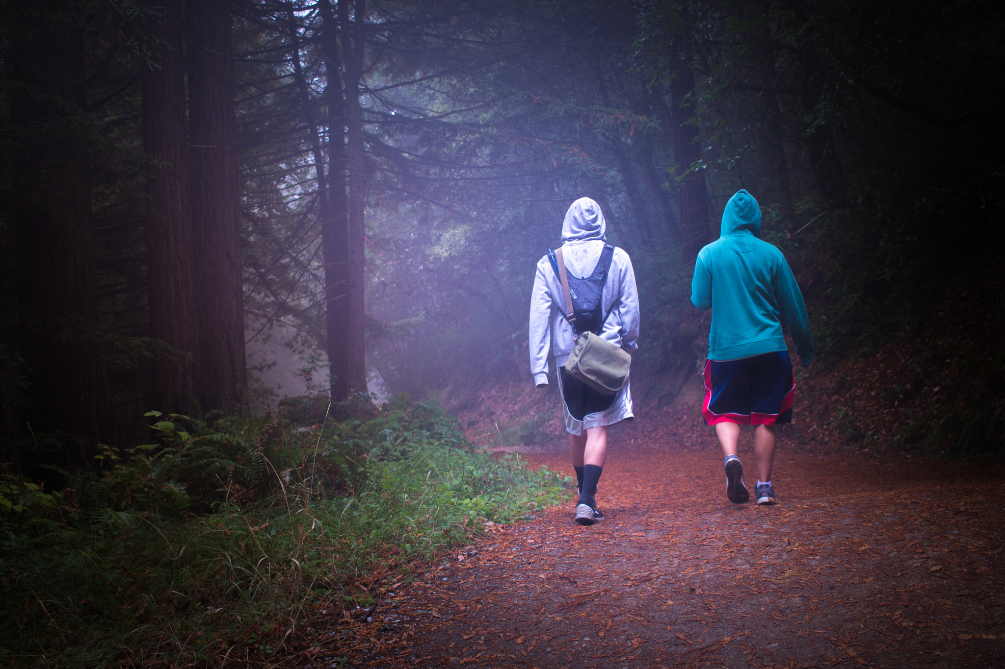 Canon EF-S 24mm F2.8 STM sample photo. Iron in the woods photography