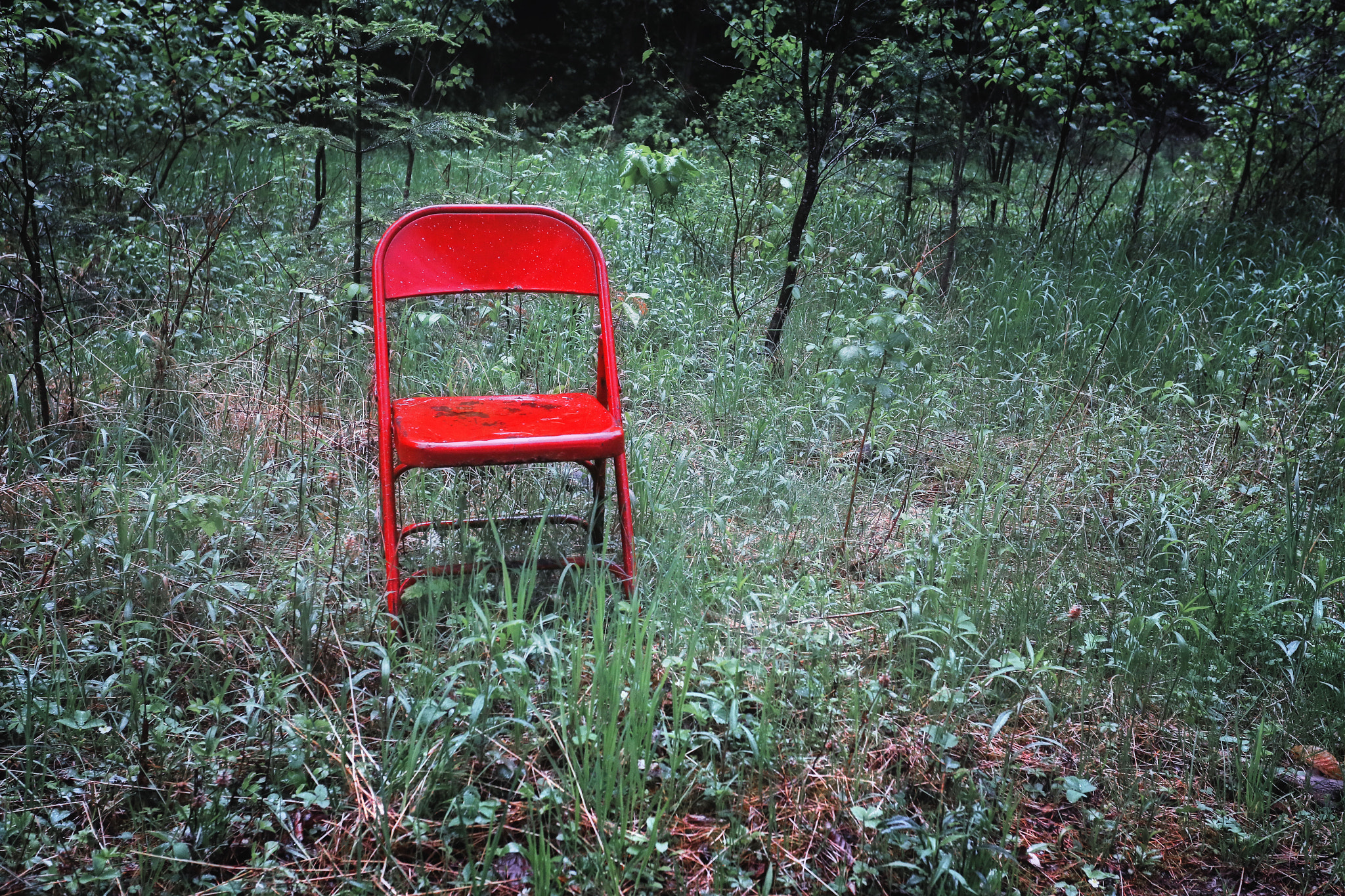 Canon EOS-1D X + Canon EF 17-40mm F4L USM sample photo. Red metal chair photography