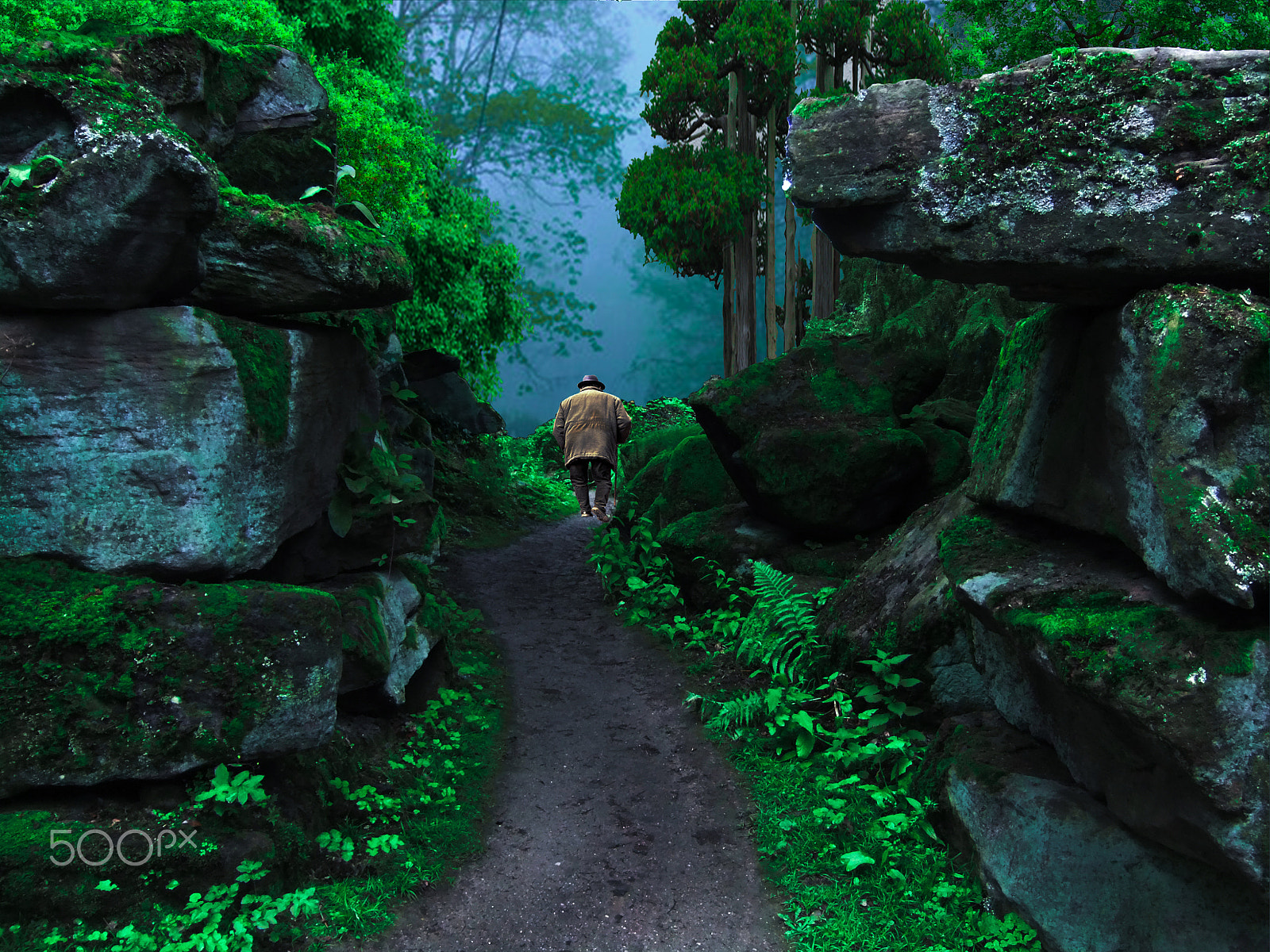 Fujifilm FinePix JZ510 sample photo. Forest man photography