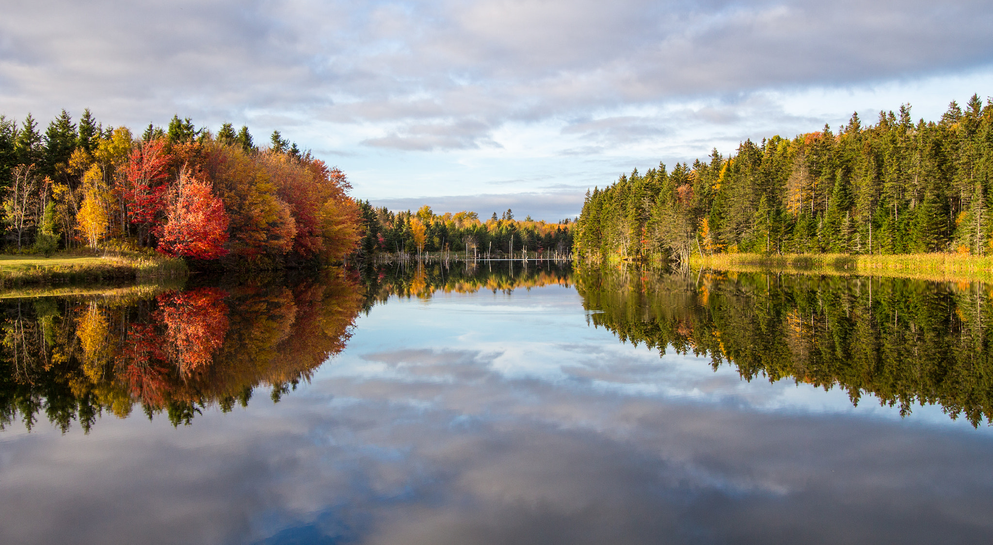Canon EF-S 10-22mm F3.5-4.5 USM sample photo. Fall reflections photography