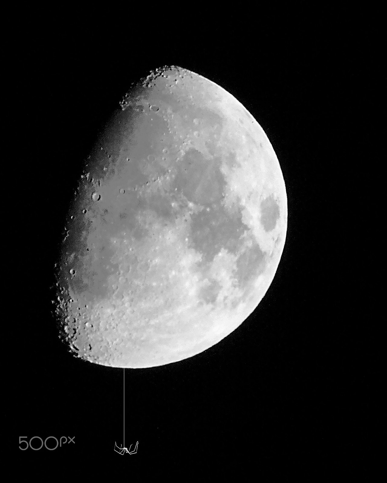 Kodak DCS Pro SLR/n sample photo. The spider moon photography