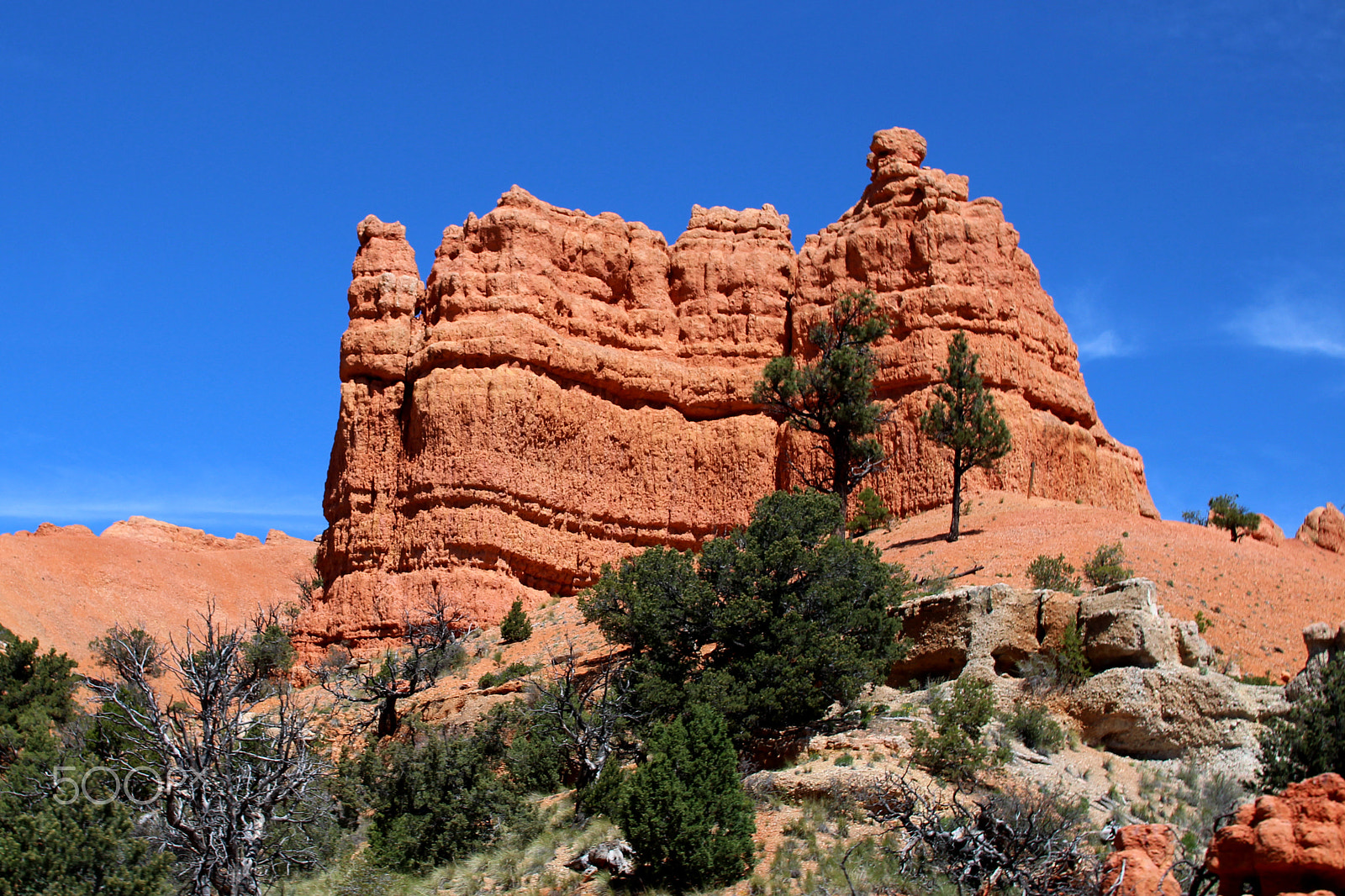 Sigma 30mm F1.4 EX DC HSM sample photo. On the road to valley of fire state park photography