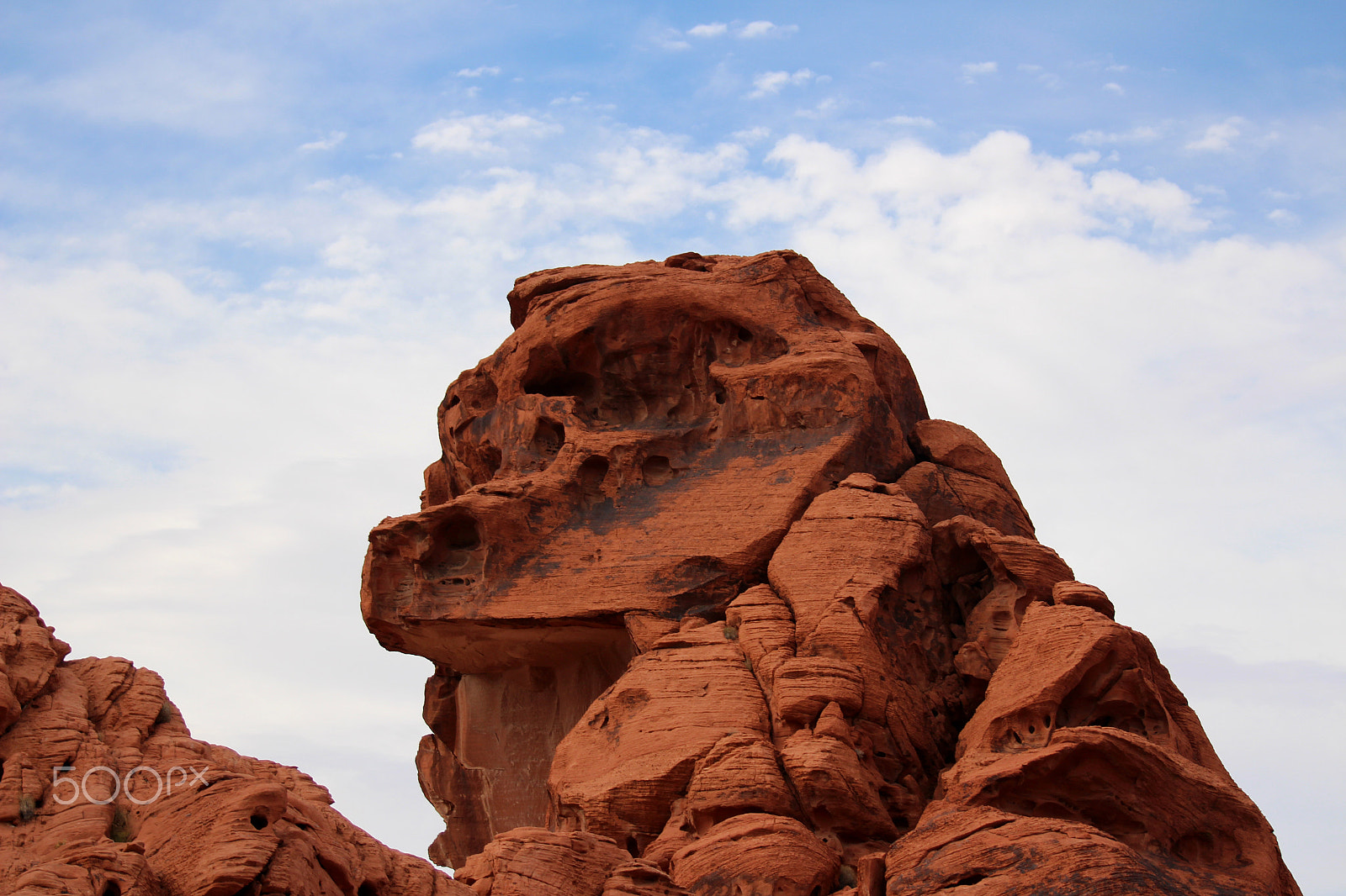 Canon EOS 650D (EOS Rebel T4i / EOS Kiss X6i) sample photo. Duck at valley of fire state park photography