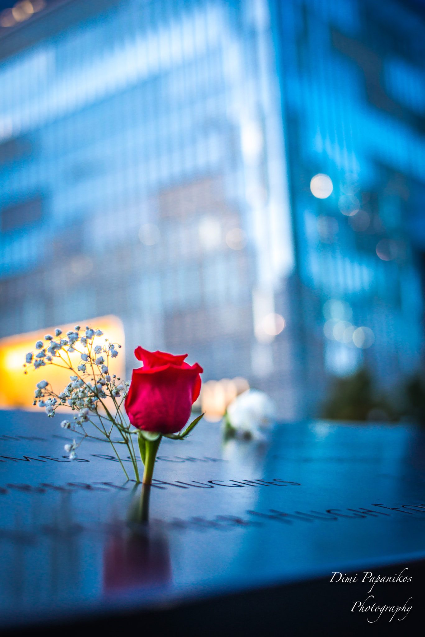 Nikon D800E + Nikon AF-S Nikkor 50mm F1.8G sample photo. Nyc photography
