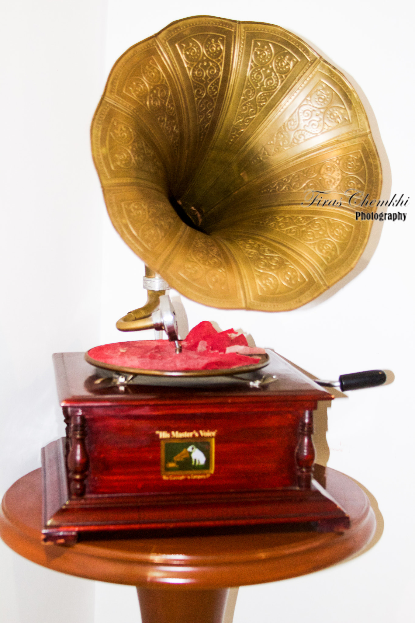 Canon EF 28-135mm F3.5-5.6 IS USM sample photo. His master's voice photography