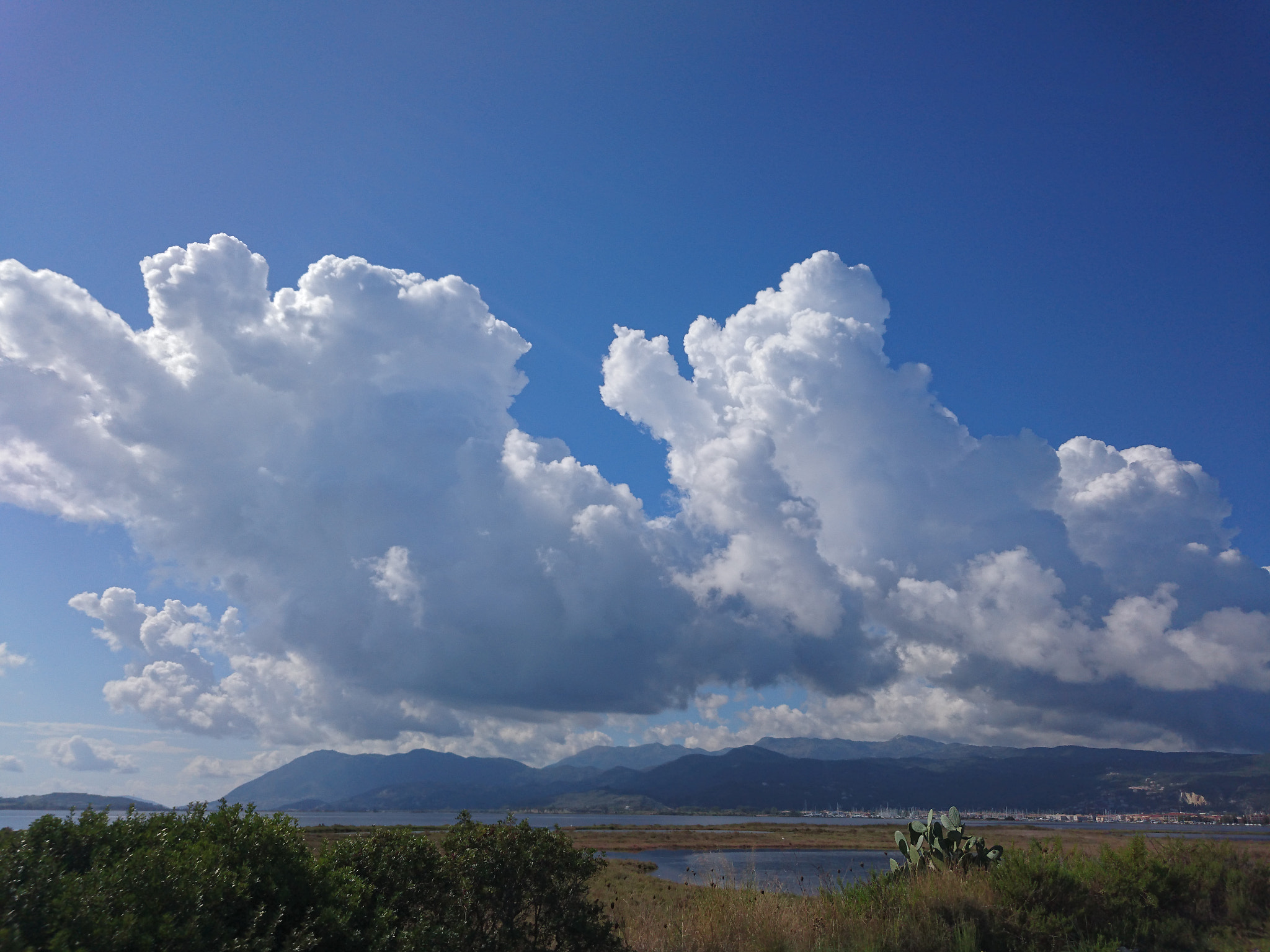 Sony Xperia Z3+ sample photo