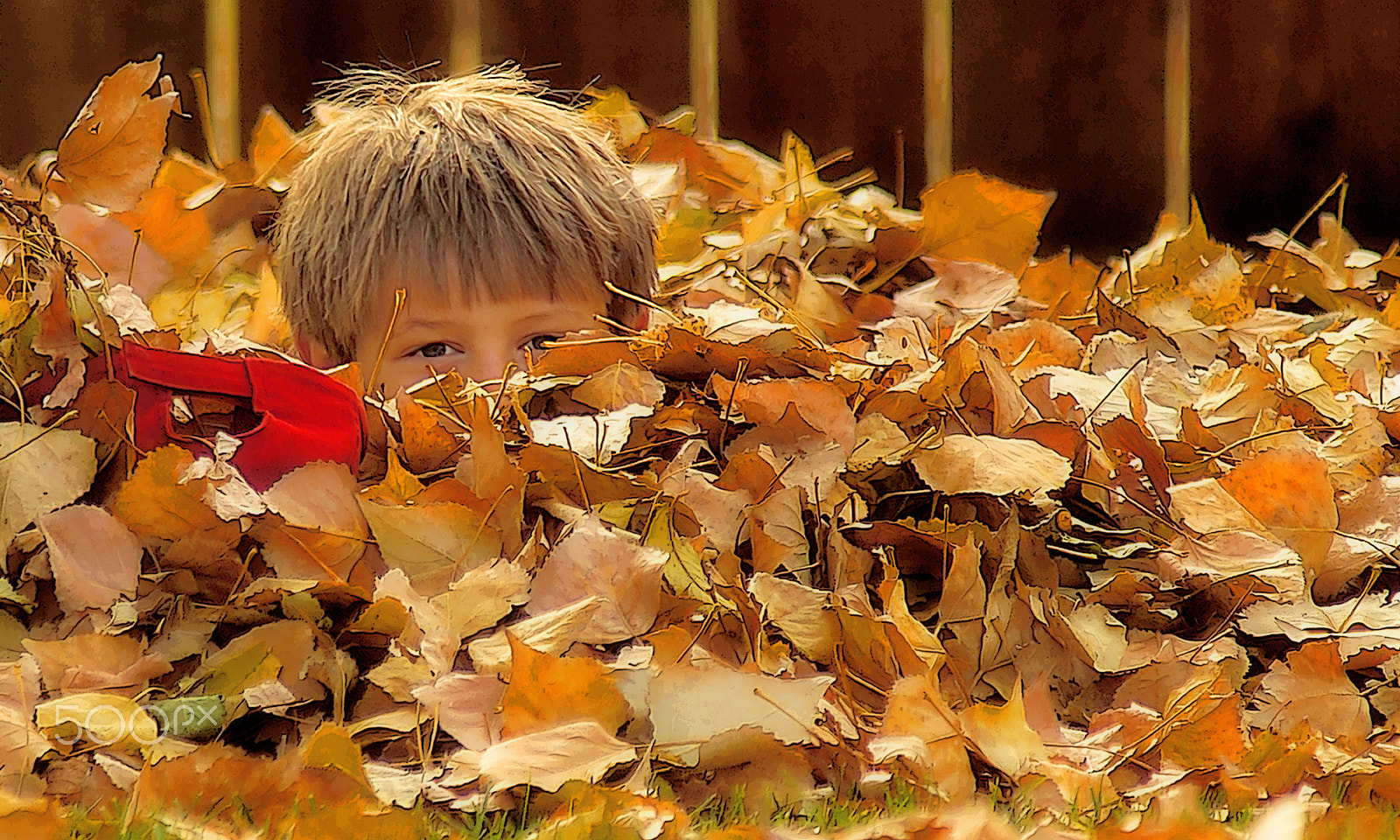 Kodak DCS Pro 14N sample photo. Hide and seek photography