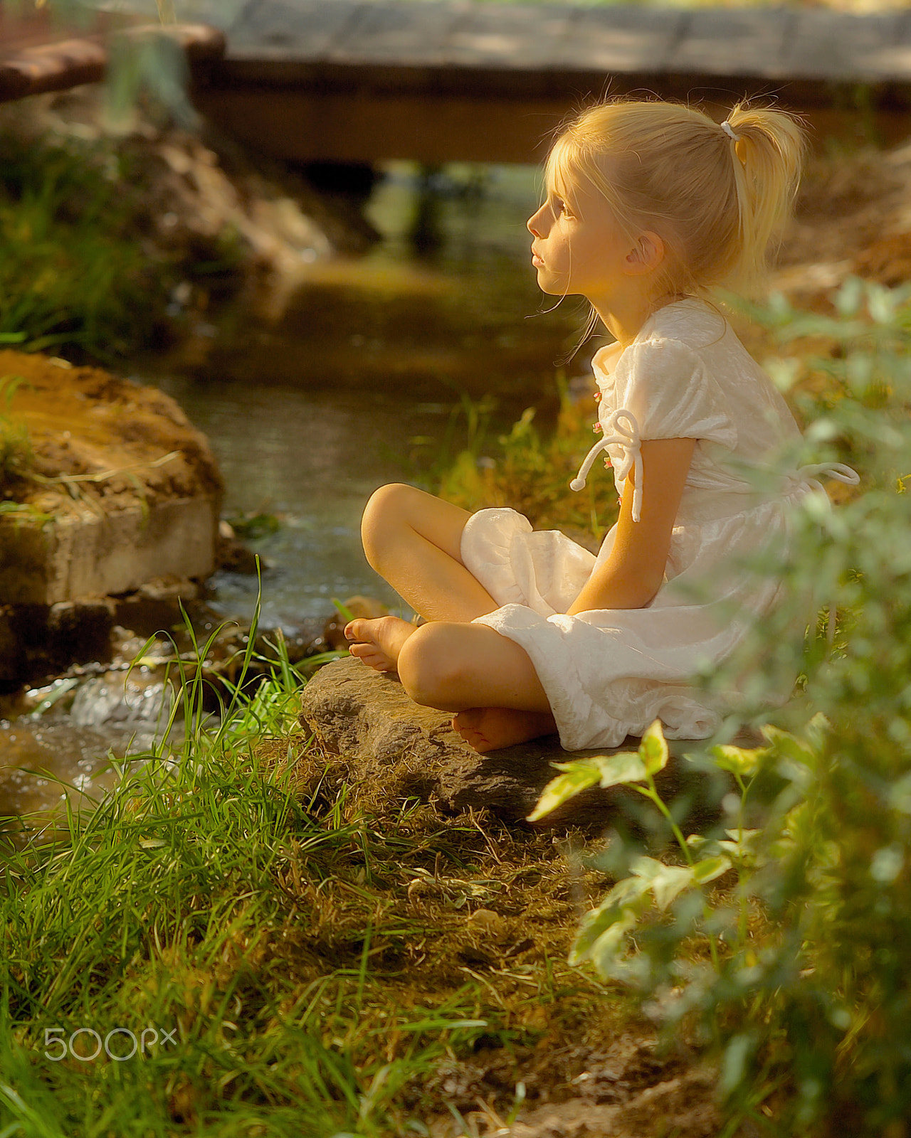 Kodak DCS Pro 14N sample photo. By the stream photography