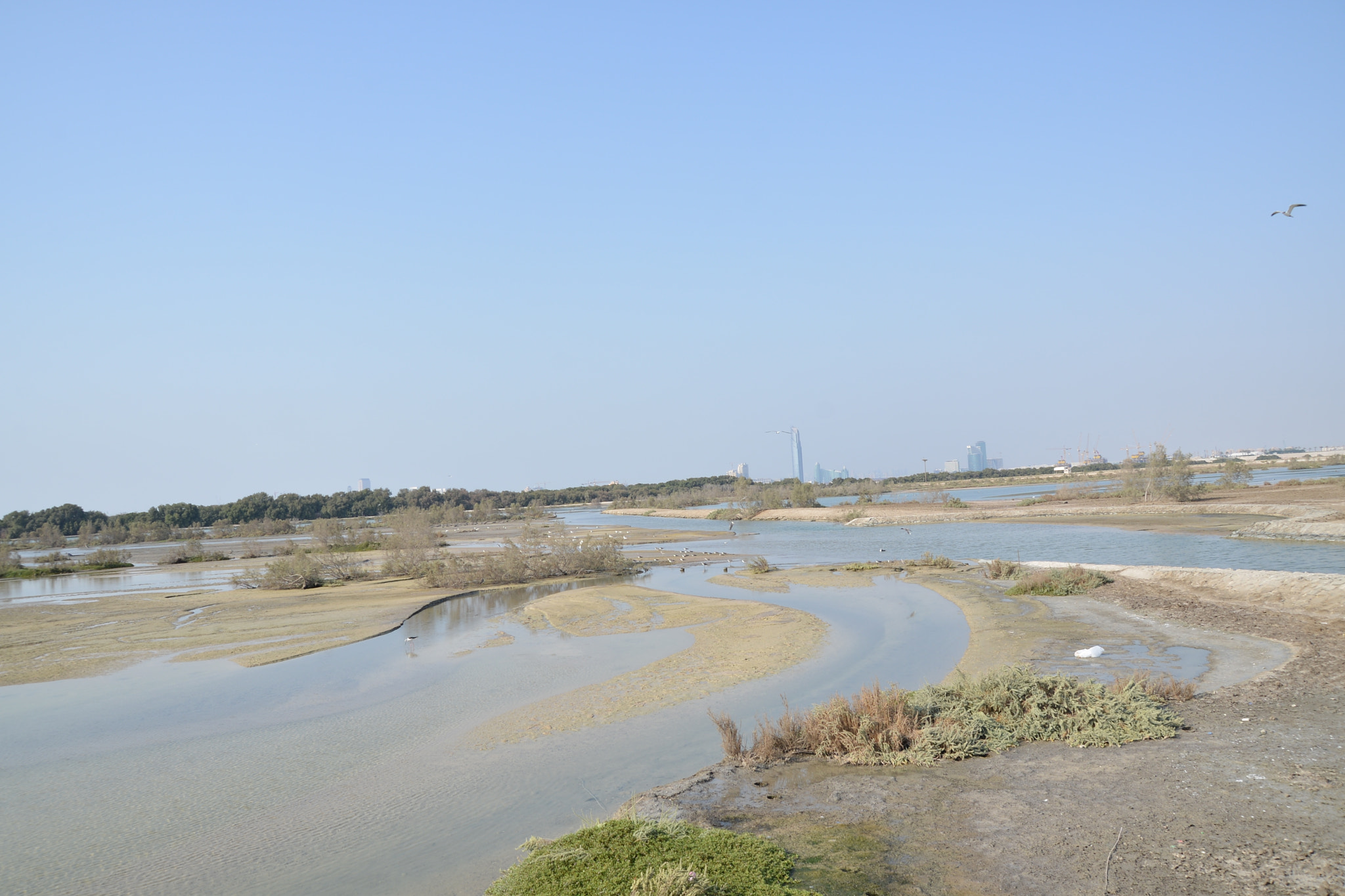 Sigma 18-250mm F3.5-6.3 DC Macro OS HSM sample photo