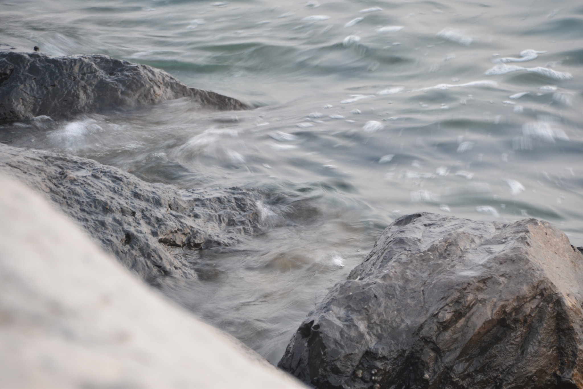 Sigma 18-250mm F3.5-6.3 DC Macro OS HSM sample photo