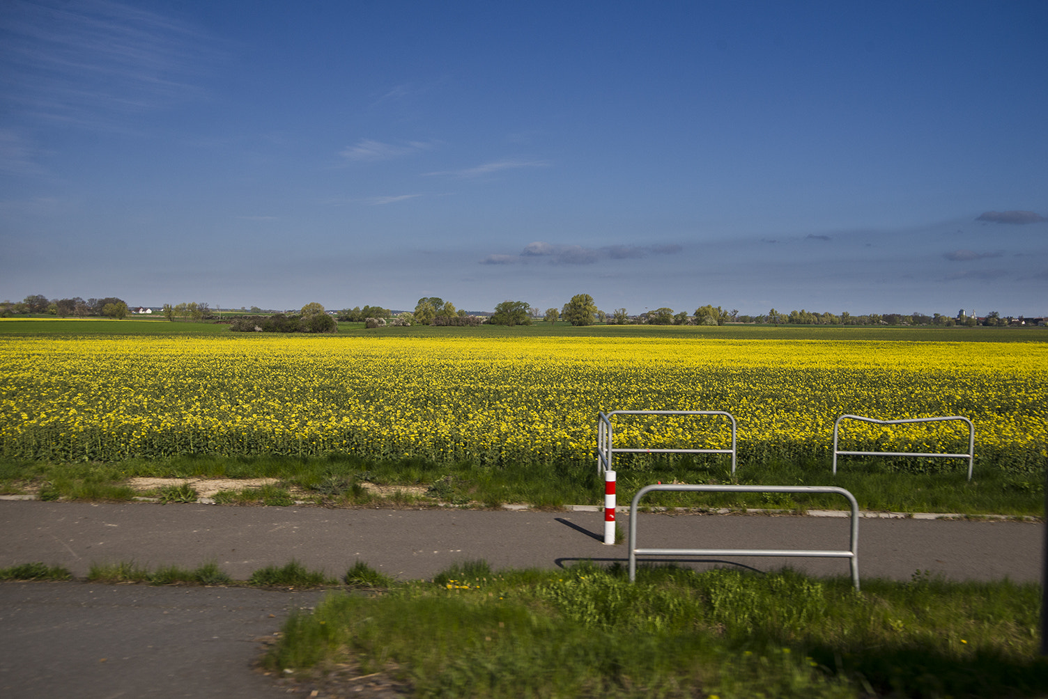 Nikon D600 sample photo. Road photo photography