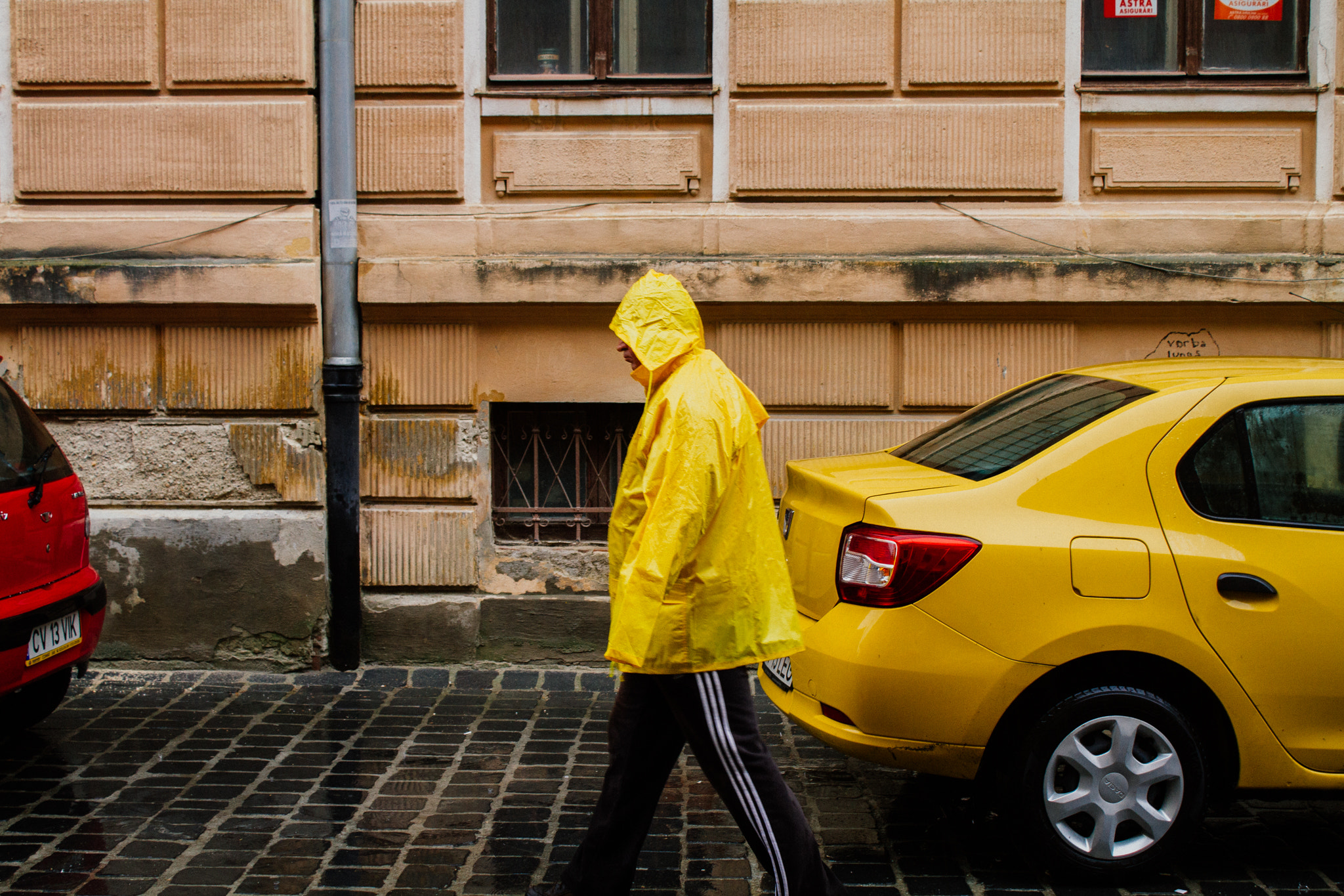 Canon EF-S 18-55mm F3.5-5.6 III sample photo. Yellow cabmarine photography