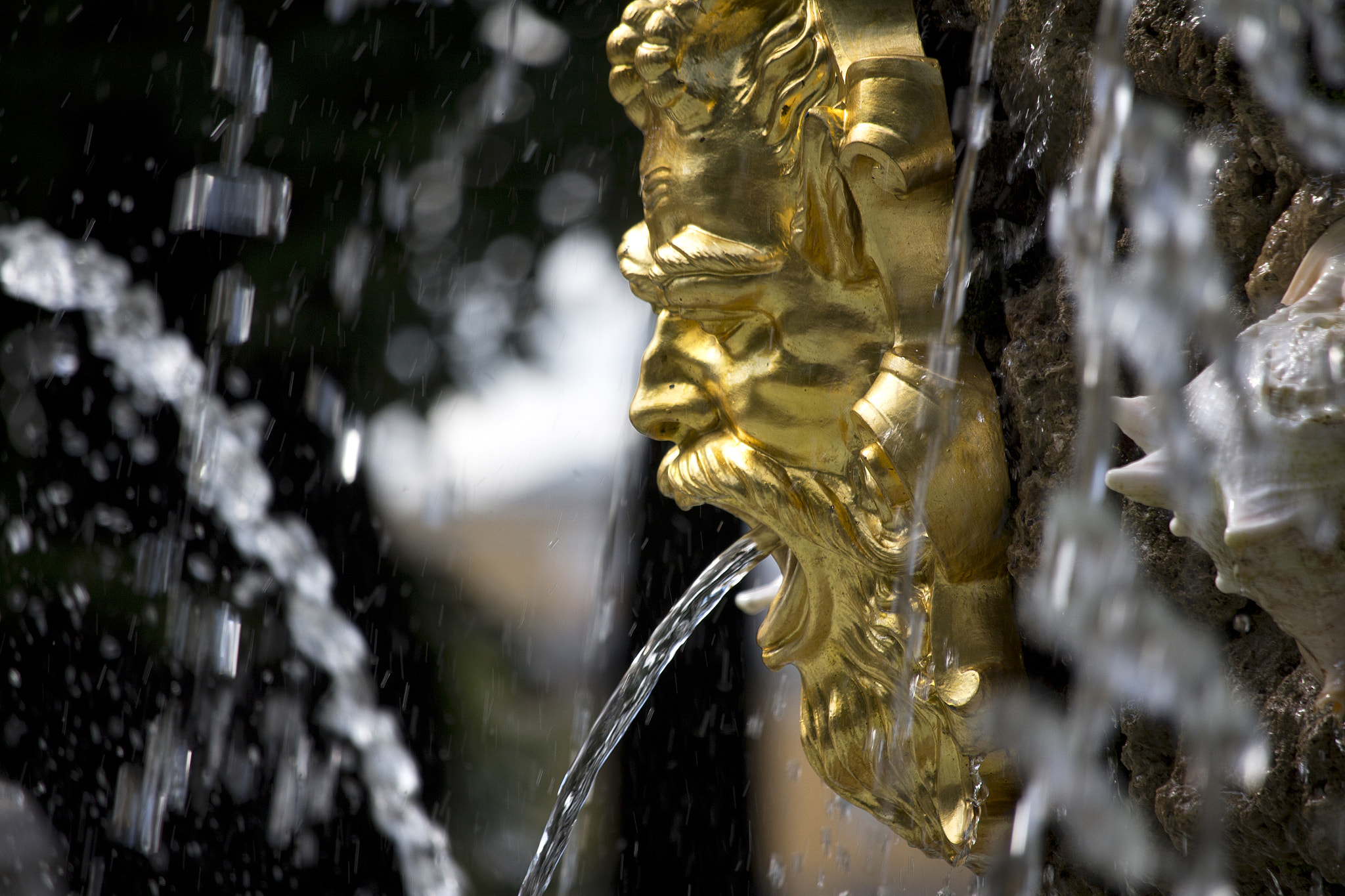 Canon EF-S 55-250mm F4-5.6 IS STM sample photo. Summer garden st petersburg photography