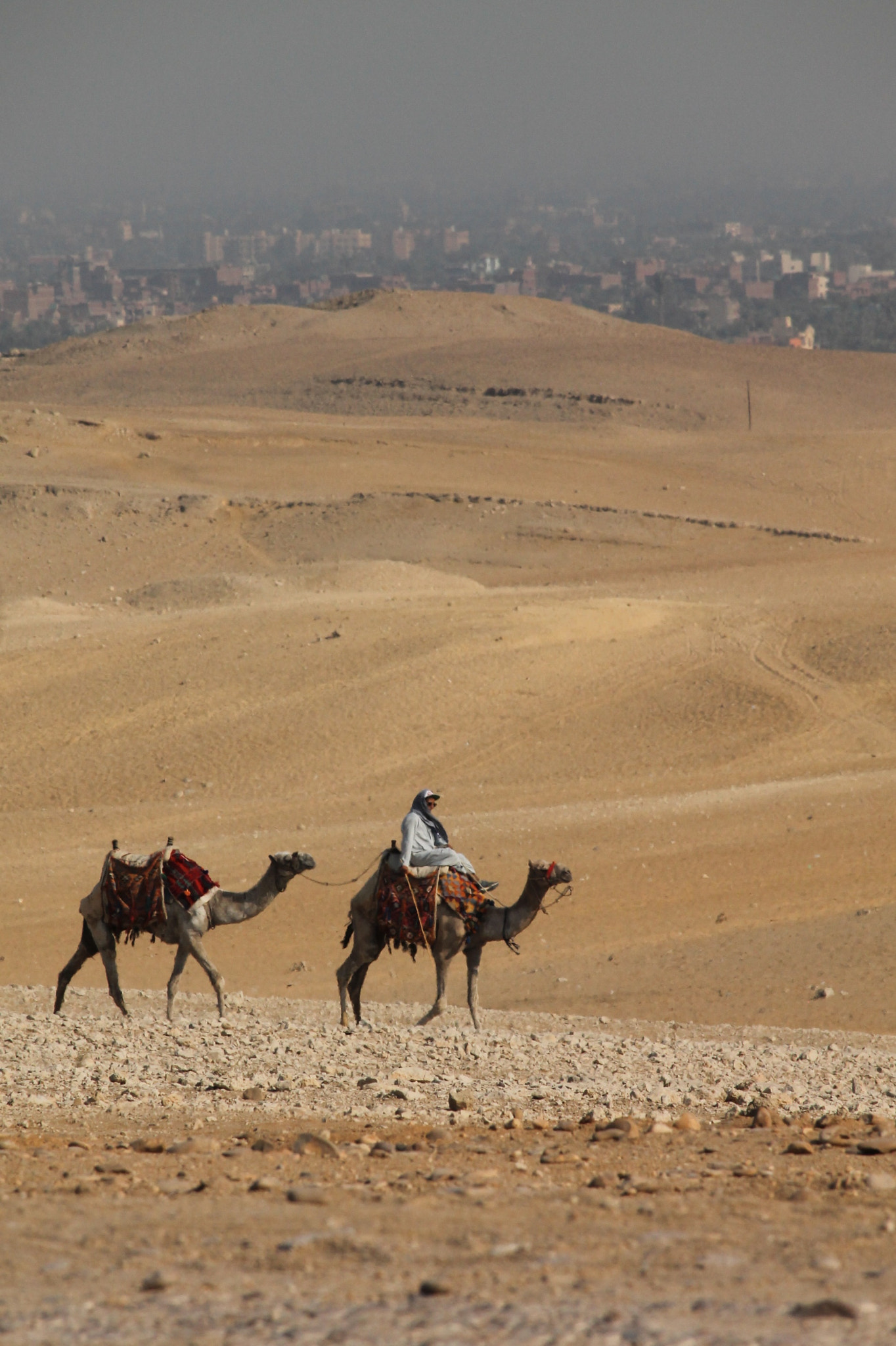 Canon EF-S 55-250mm F4-5.6 IS STM sample photo. Giza transport photography