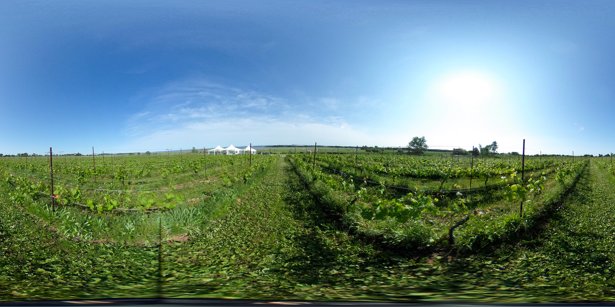 Ricoh Theta S sample photo. Blomidonestatewinery photography