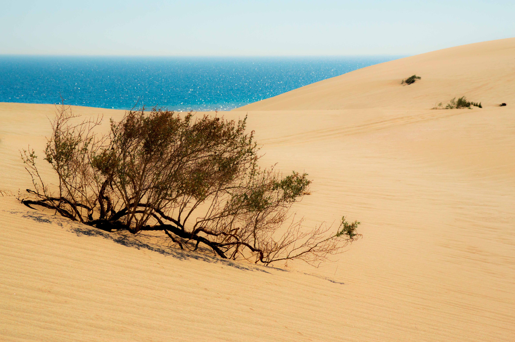Sigma 17-70mm F2.8-4 DC Macro OS HSM sample photo. Desert photography