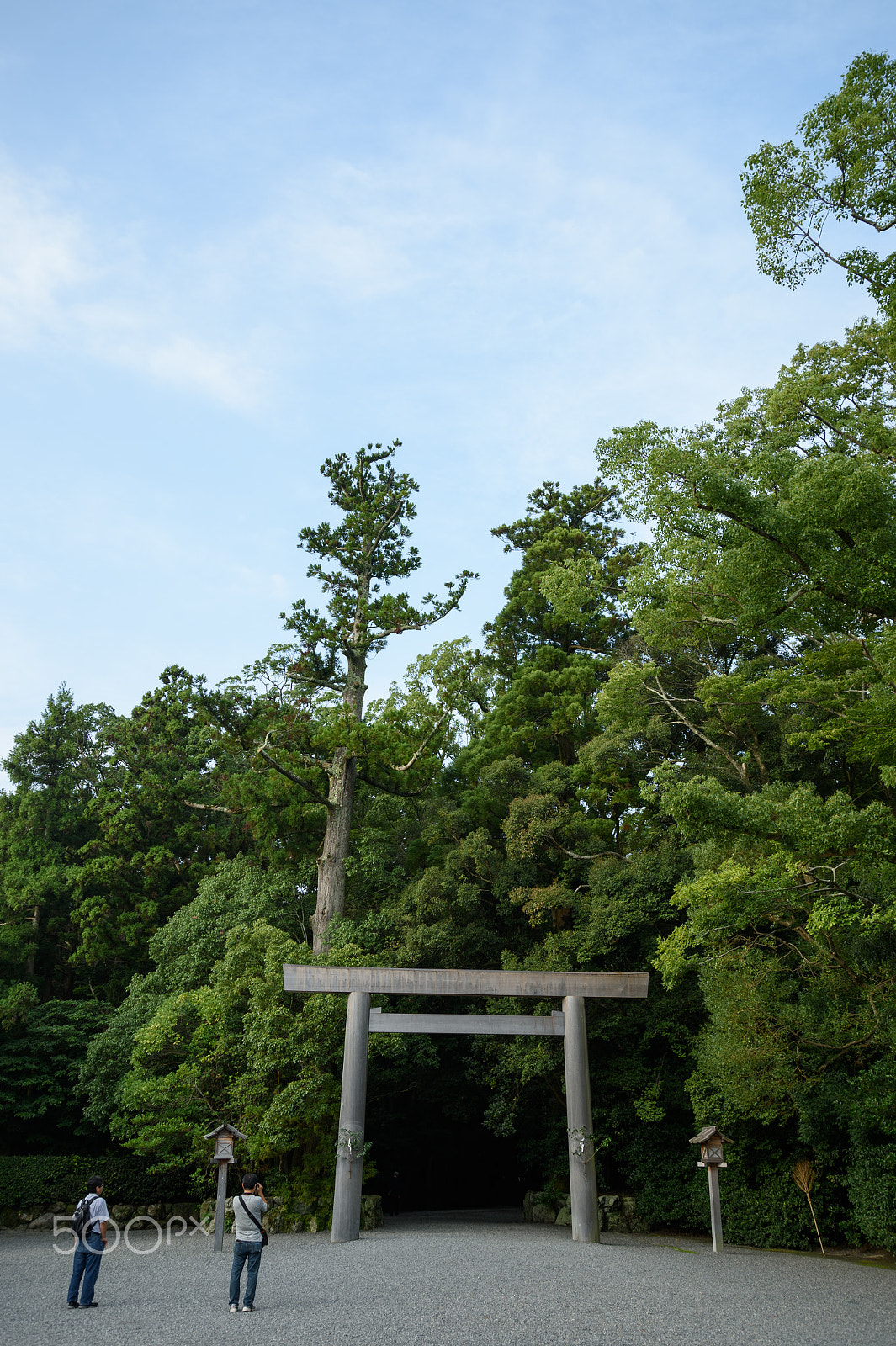 Nikon Df sample photo. Torii gate photography