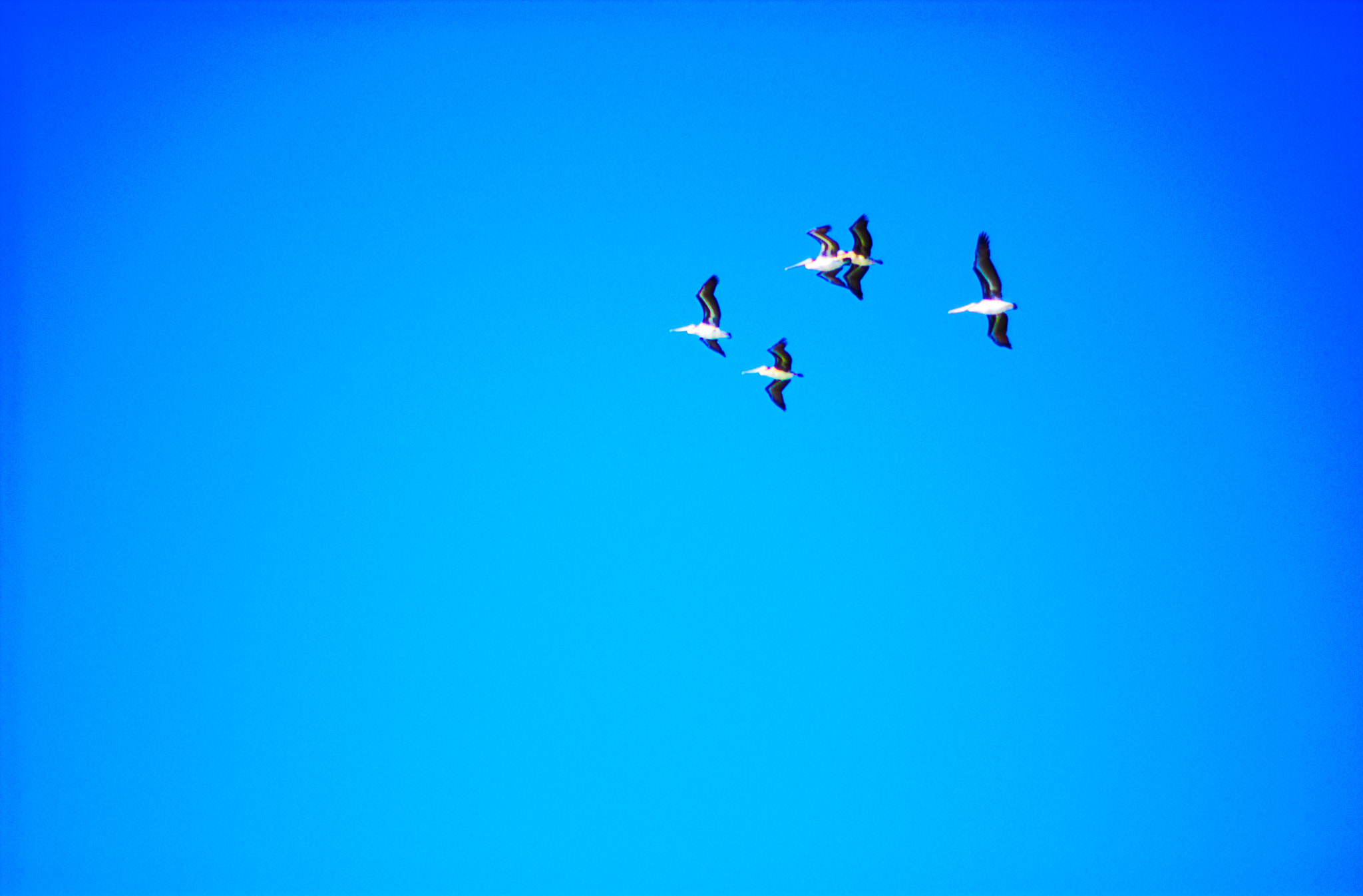 Nikon D1X sample photo. Nef photography