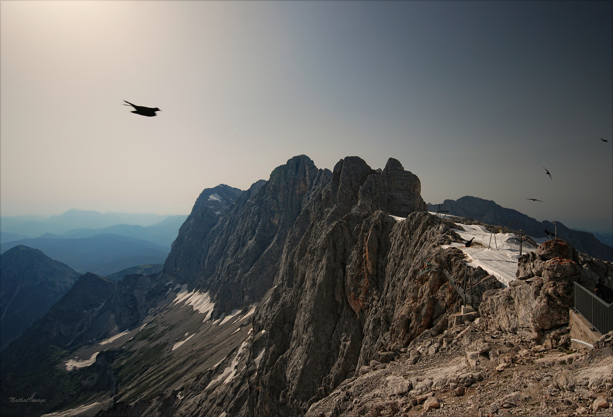 Sigma 10-20mm F4-5.6 EX DC HSM sample photo. ... free flight ... photography