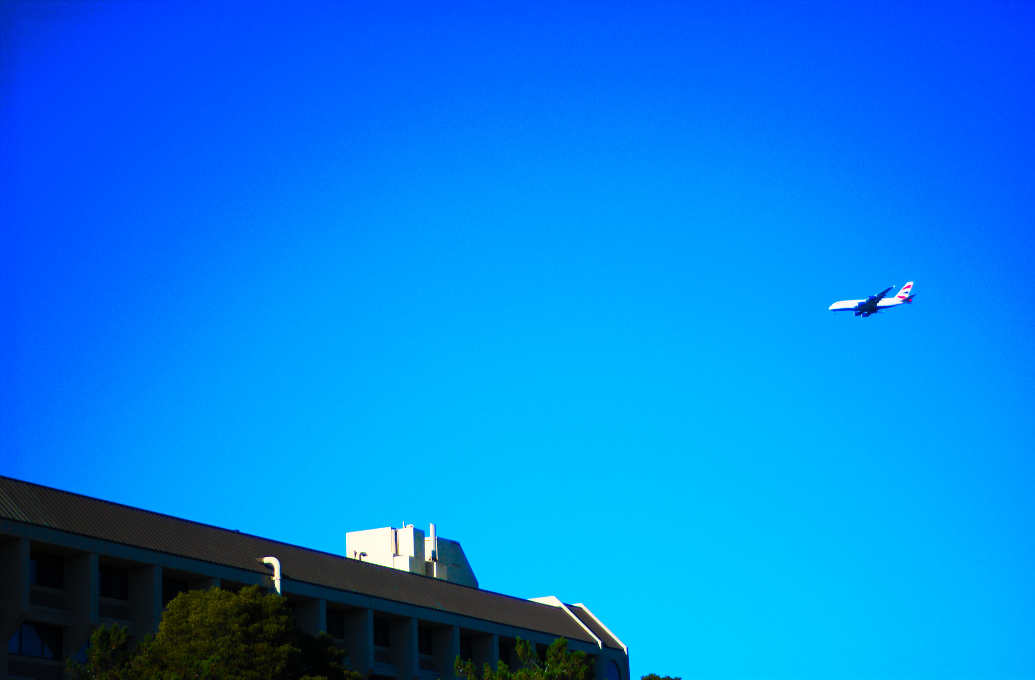 Nikon D1X sample photo. Nef photography