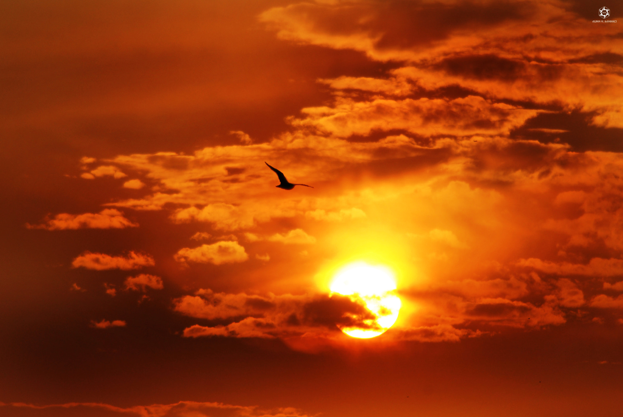 Nikon AF Nikkor 70-300mm F4-5.6G sample photo. Sunset hunter, tÜrkİye photography