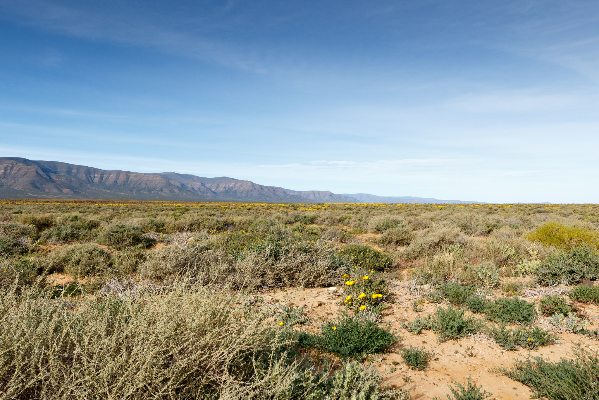 Canon EOS 7D Mark II sample photo. Blue skies that leads to nothing in tankwa karoo photography