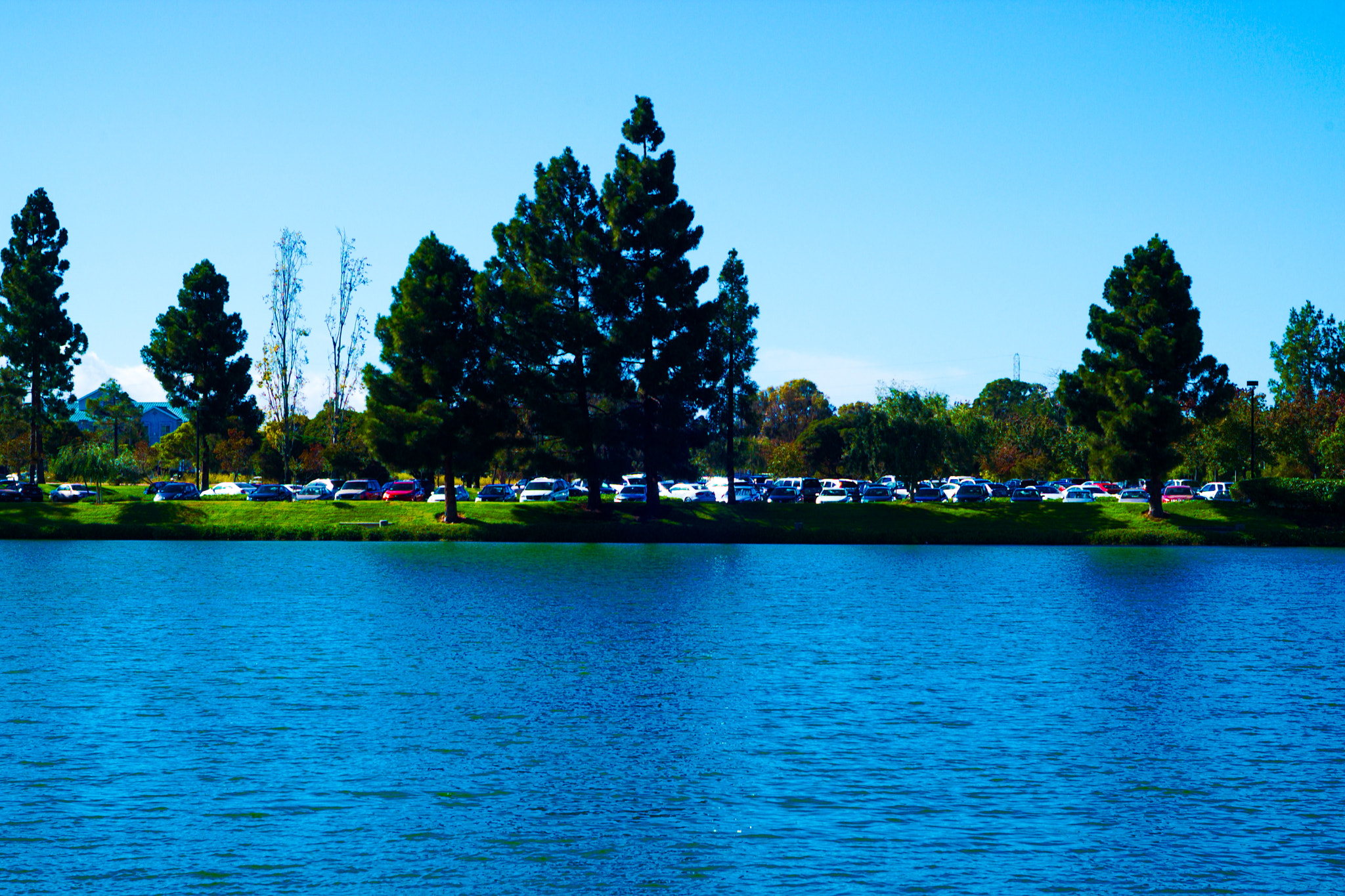 Nikon D1X sample photo. Nef photography
