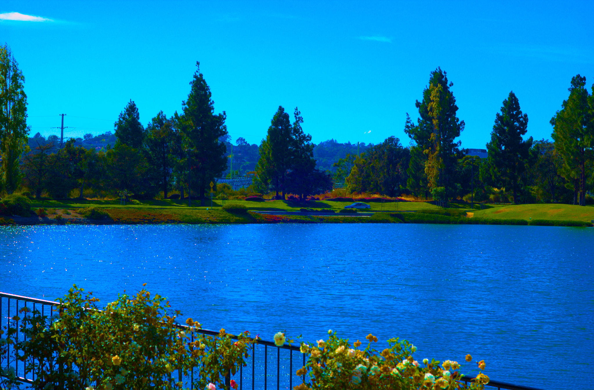Nikon D1X sample photo. Nef photography
