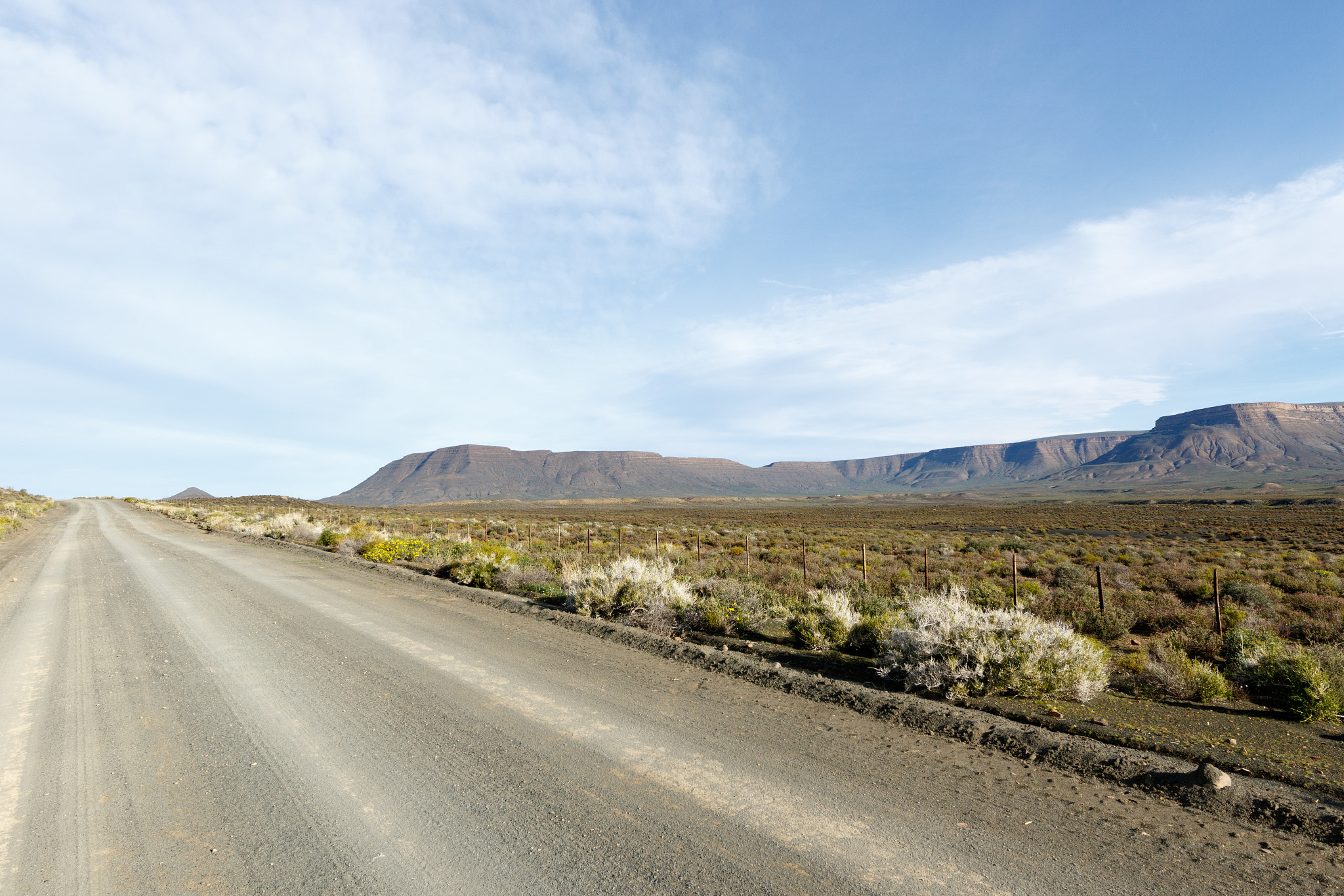 Canon EF 300mm f/2.8L sample photo. Grey colored road in tankwa karoo photography